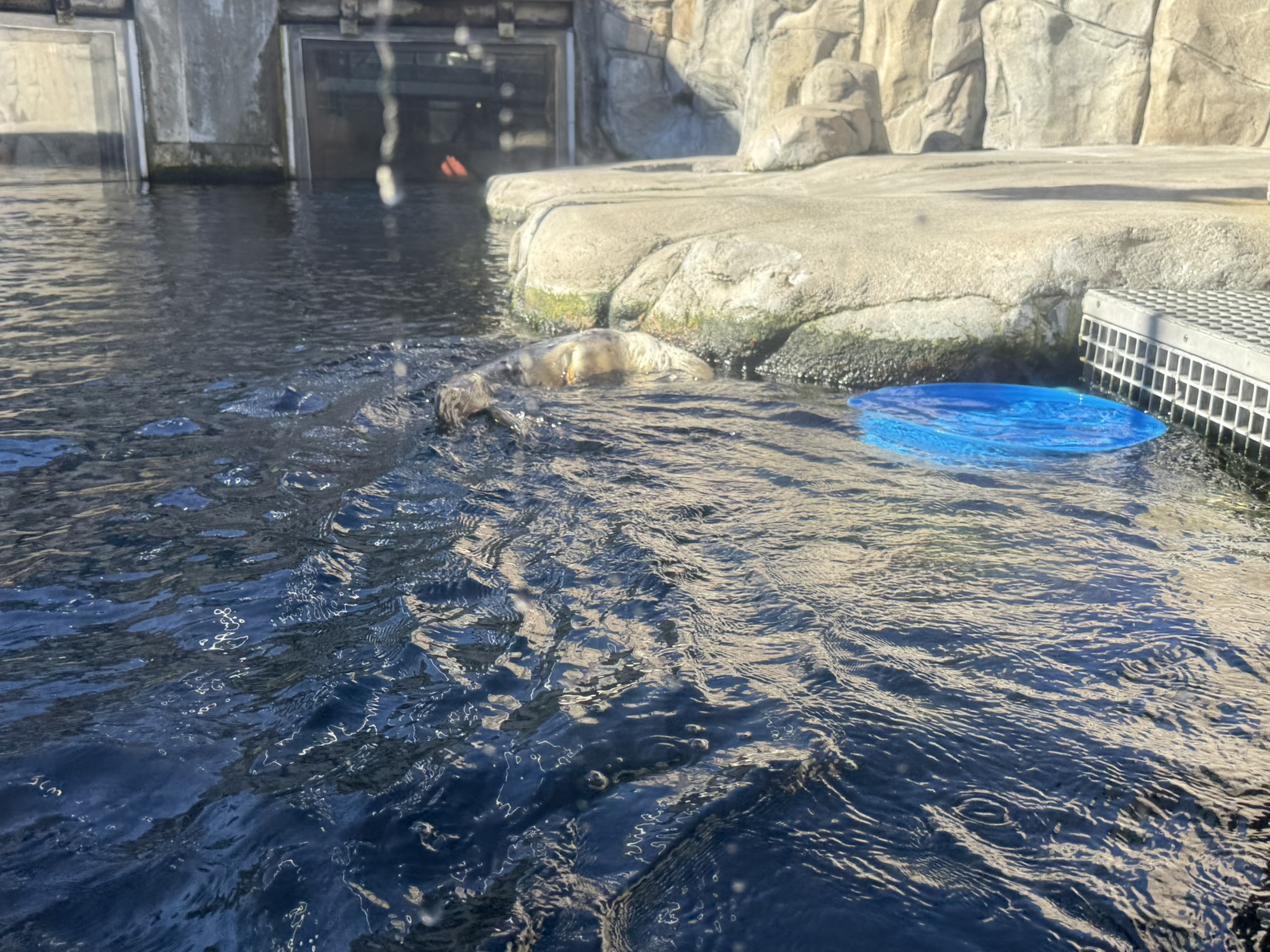 Monterey Bay Aquarium