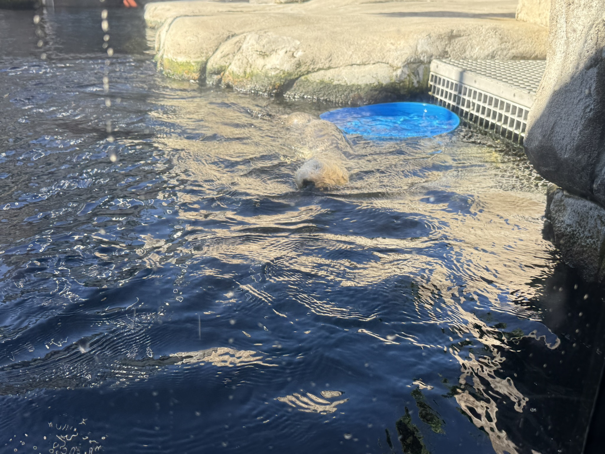 Monterey Bay Aquarium