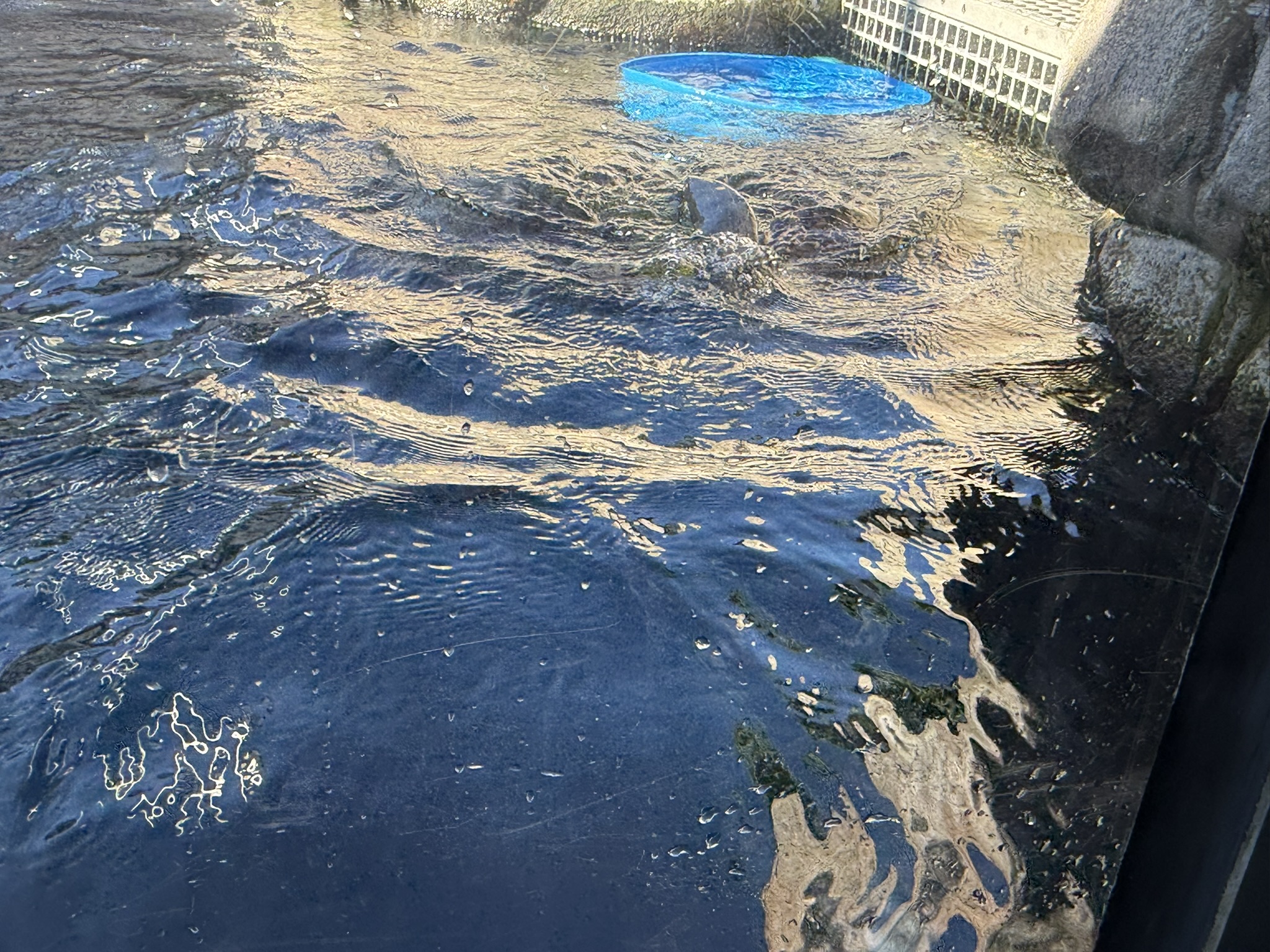 Monterey Bay Aquarium