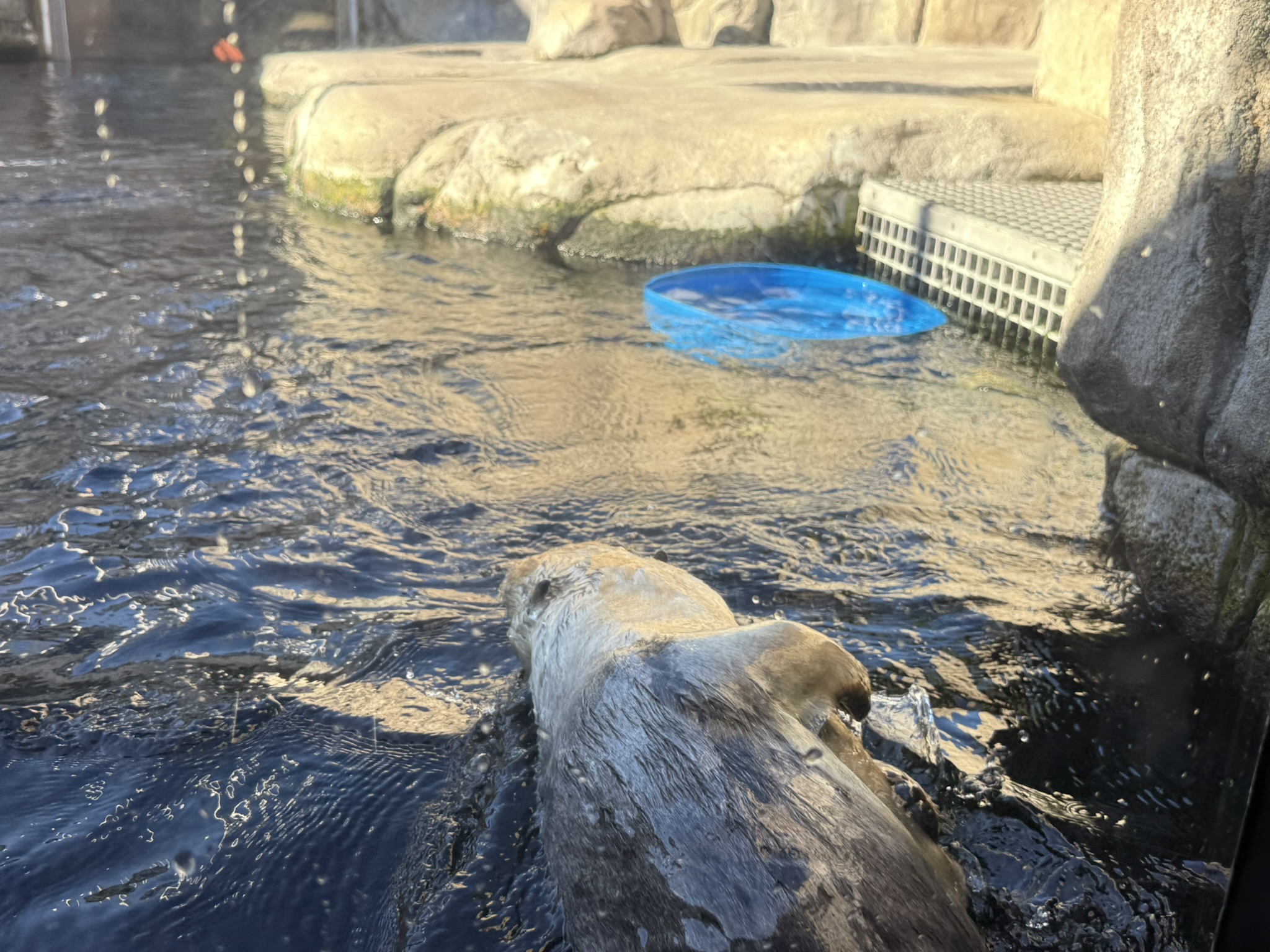 Monterey Bay Aquarium