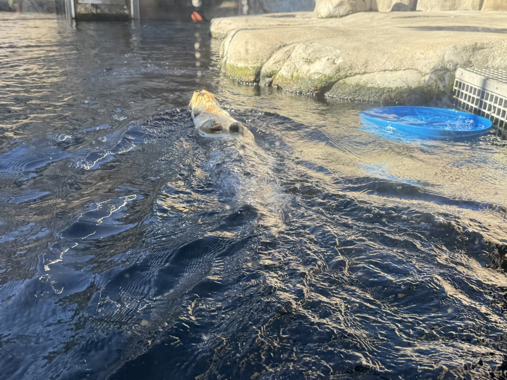 Monterey Bay Aquarium