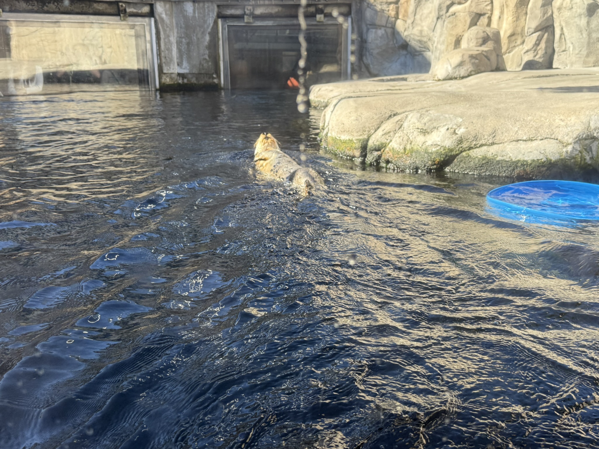 Monterey Bay Aquarium