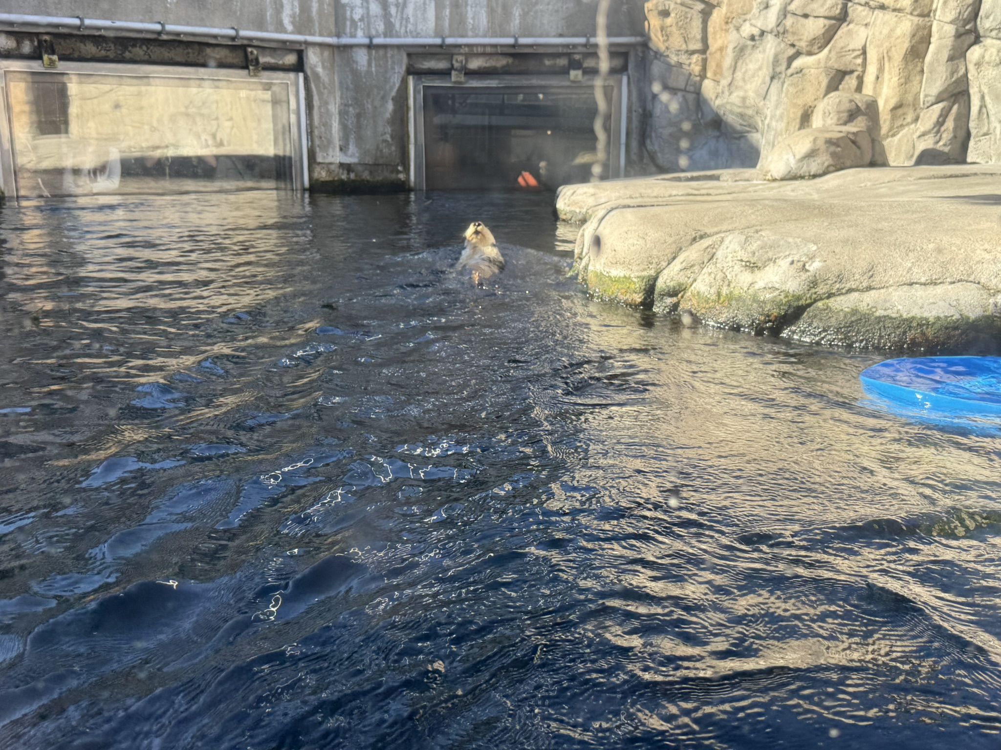 Monterey Bay Aquarium