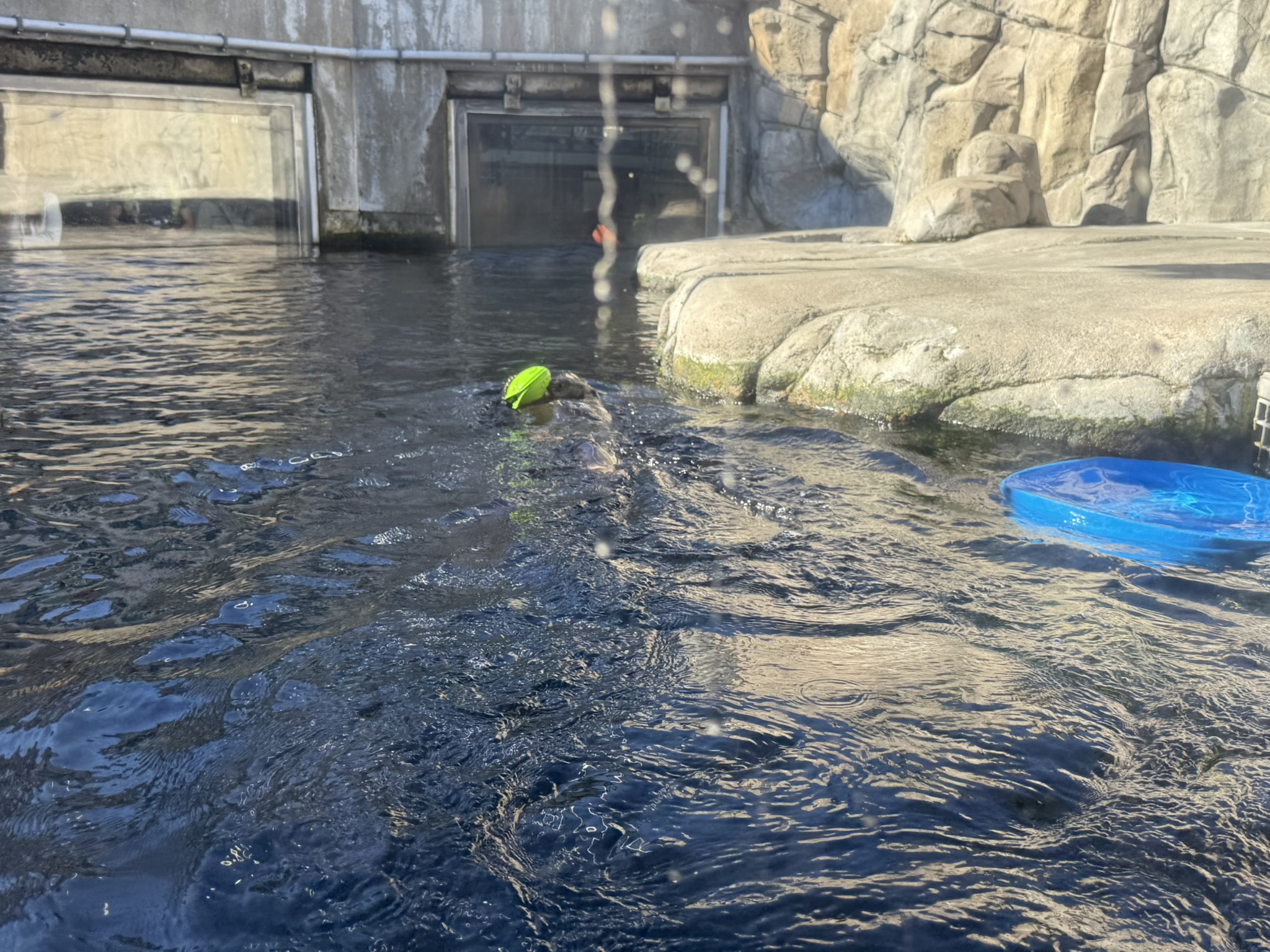 Monterey Bay Aquarium