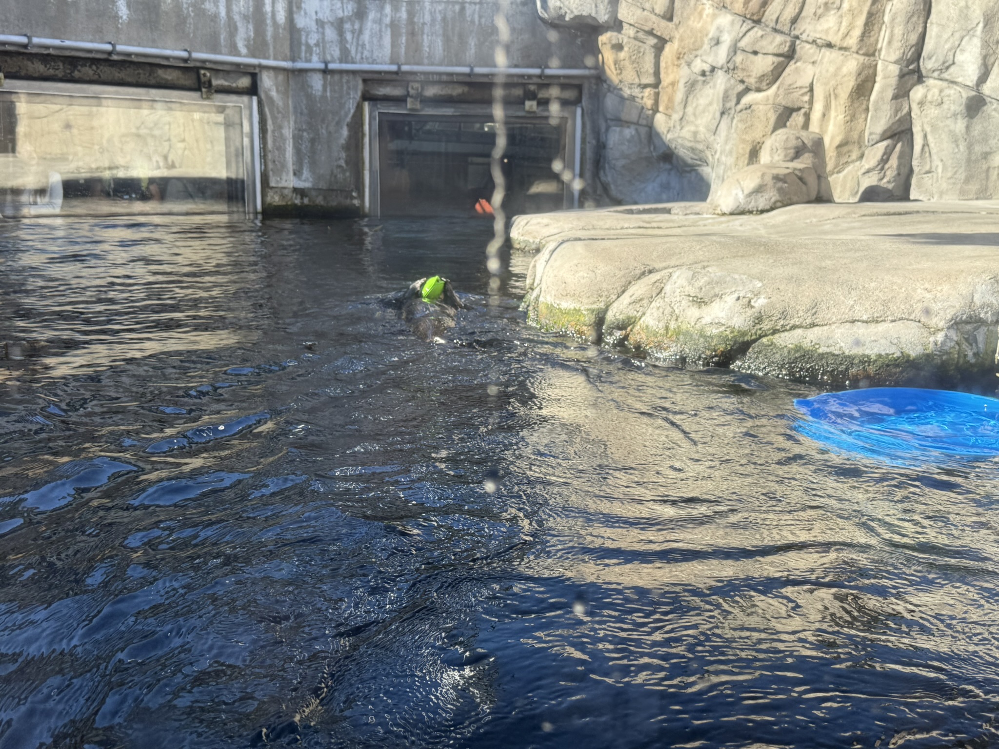 Monterey Bay Aquarium