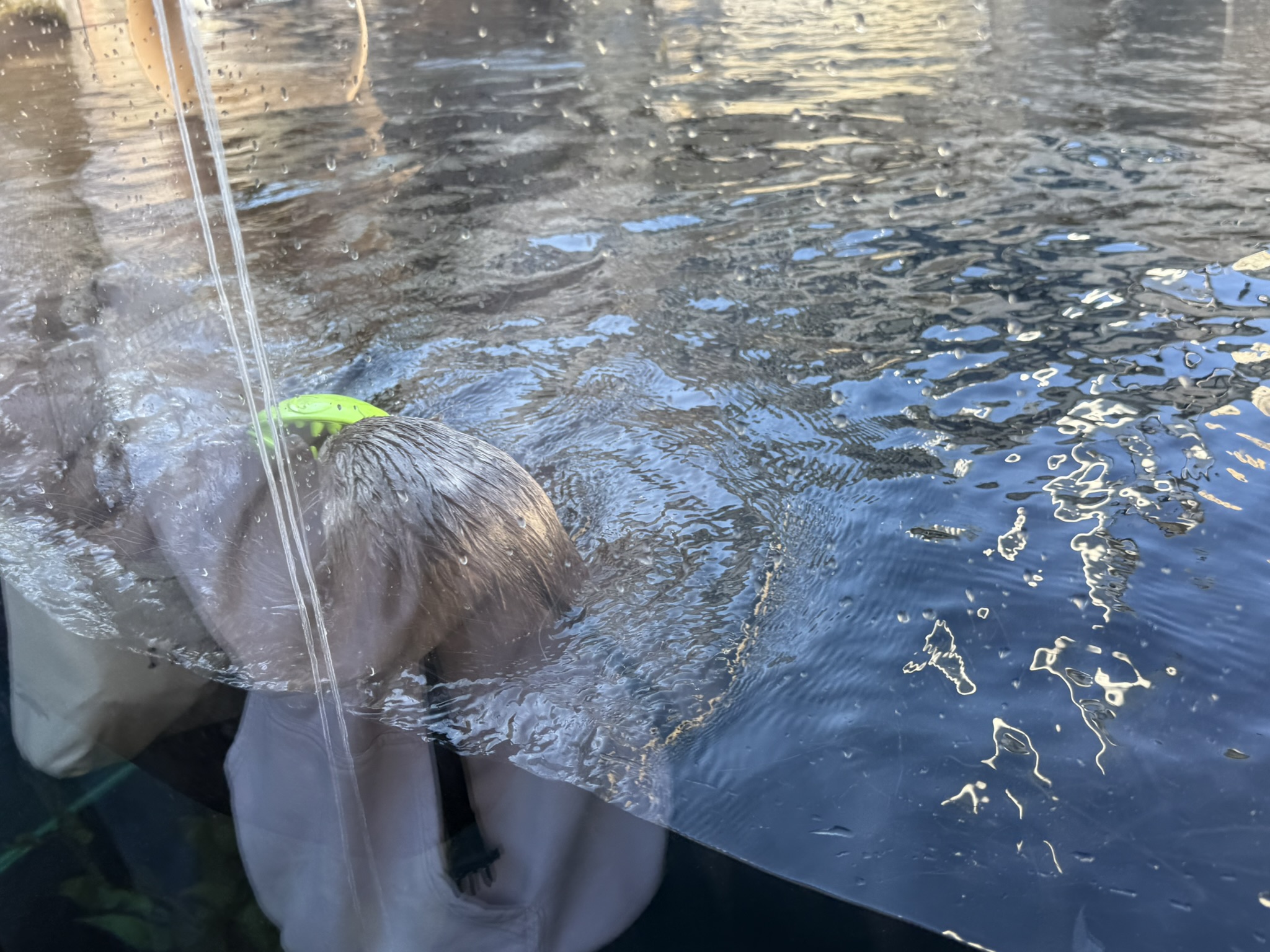 Monterey Bay Aquarium