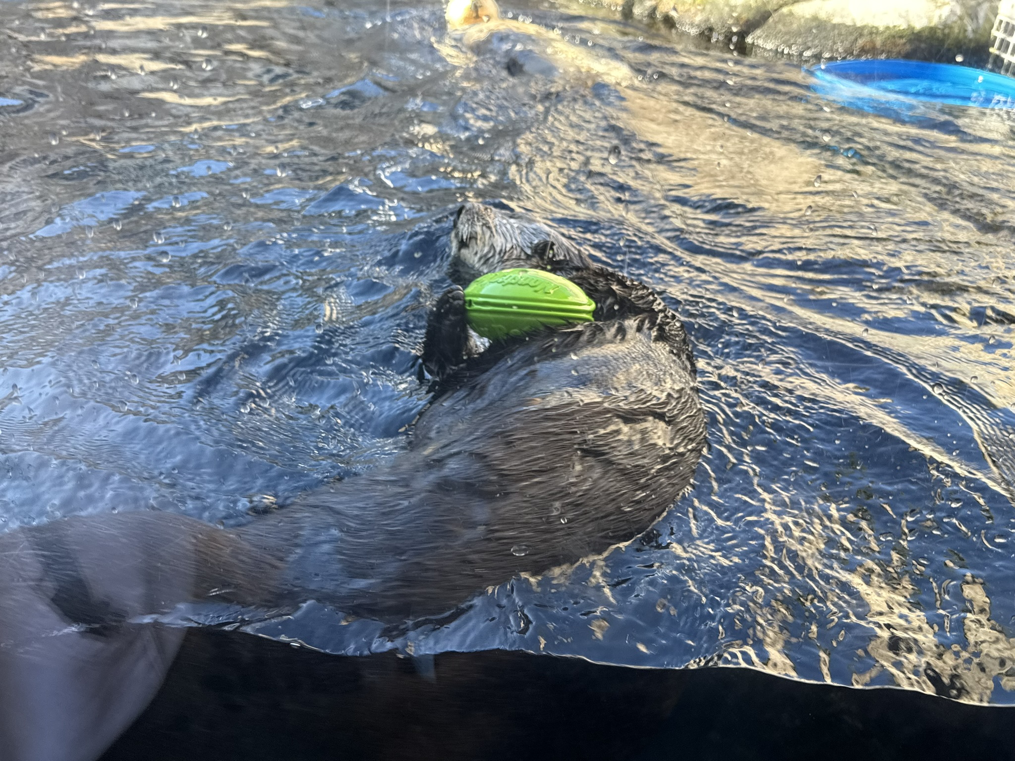 Monterey Bay Aquarium