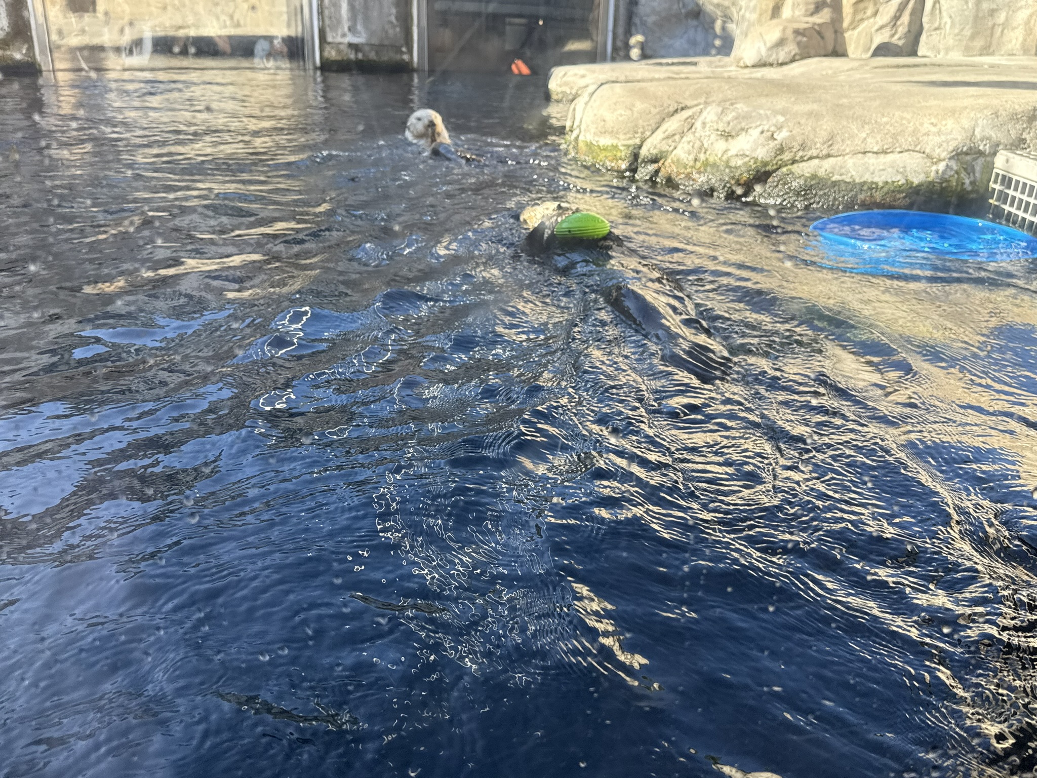 Monterey Bay Aquarium