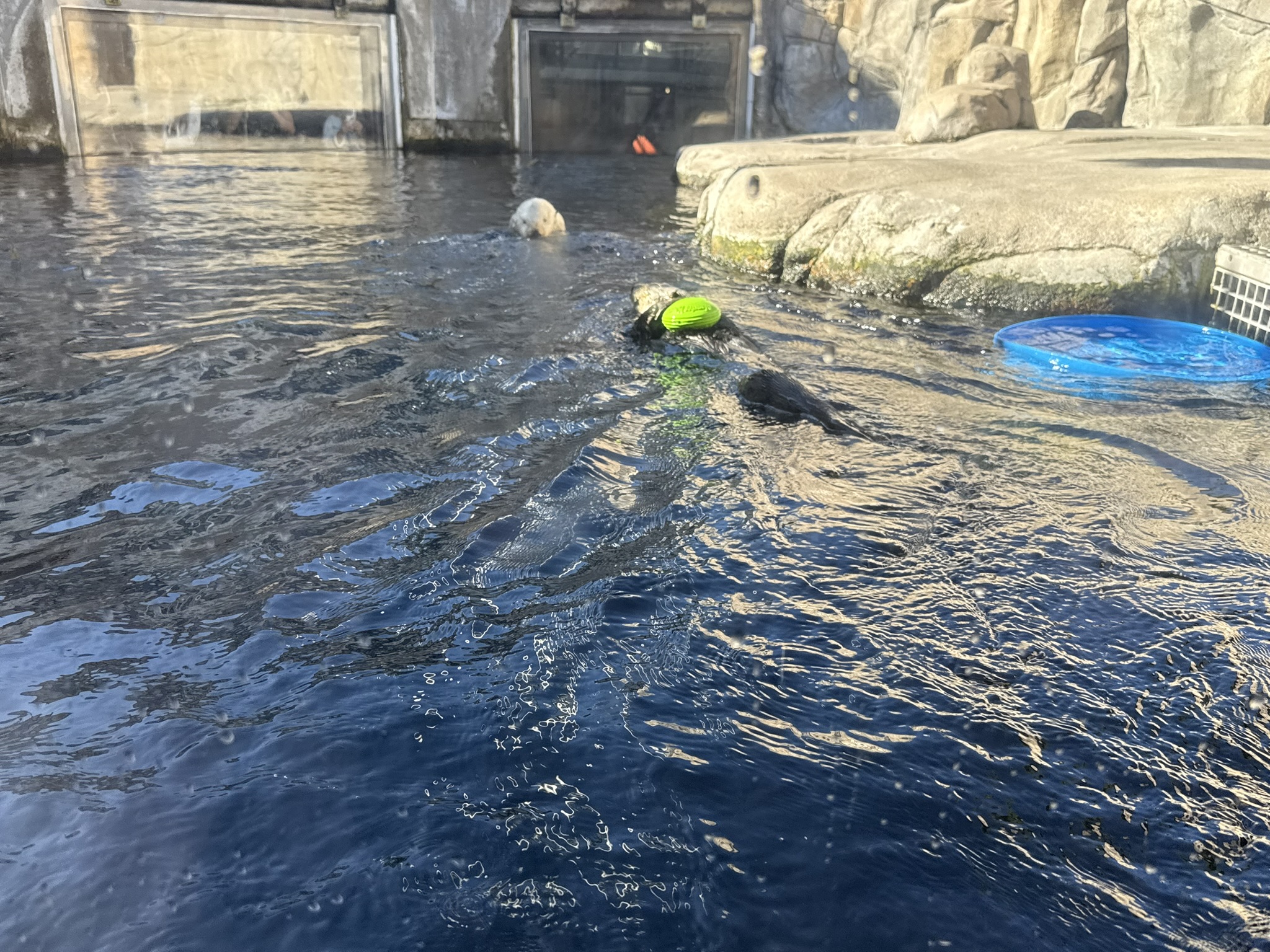 Monterey Bay Aquarium