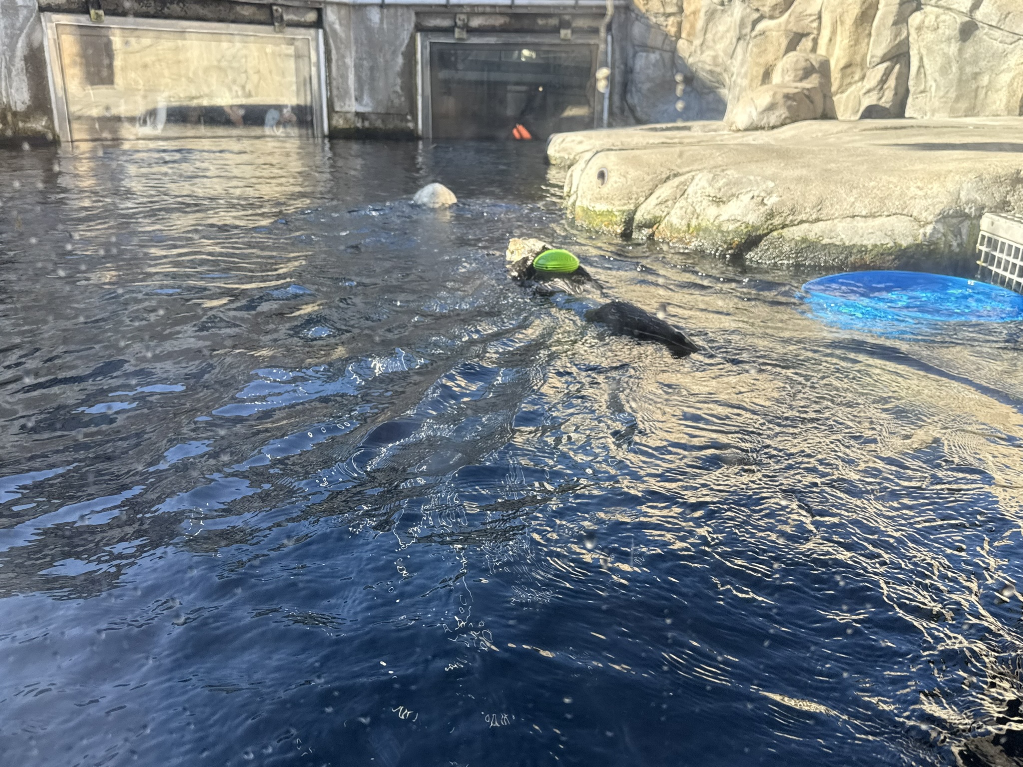 Monterey Bay Aquarium