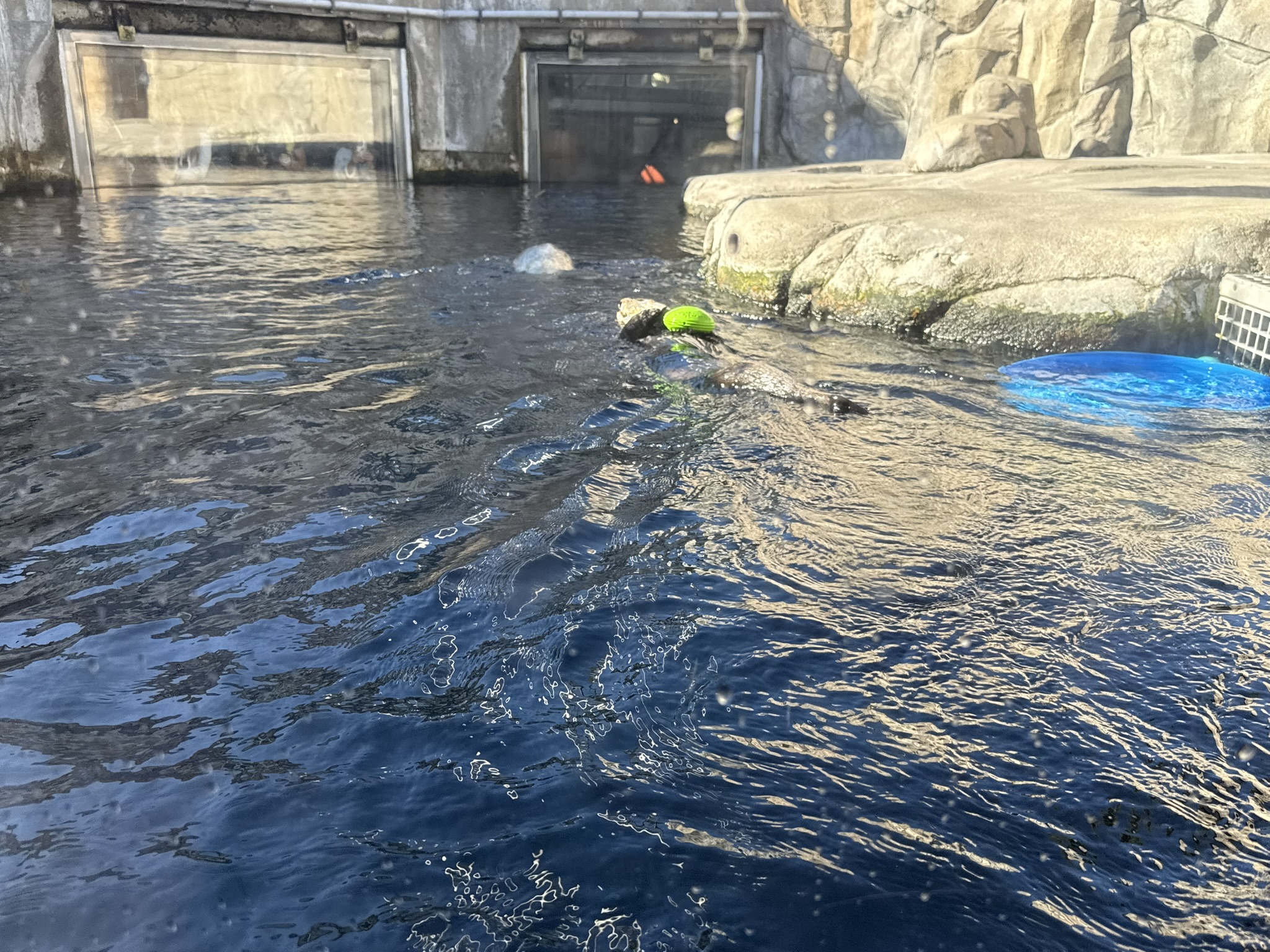 Monterey Bay Aquarium