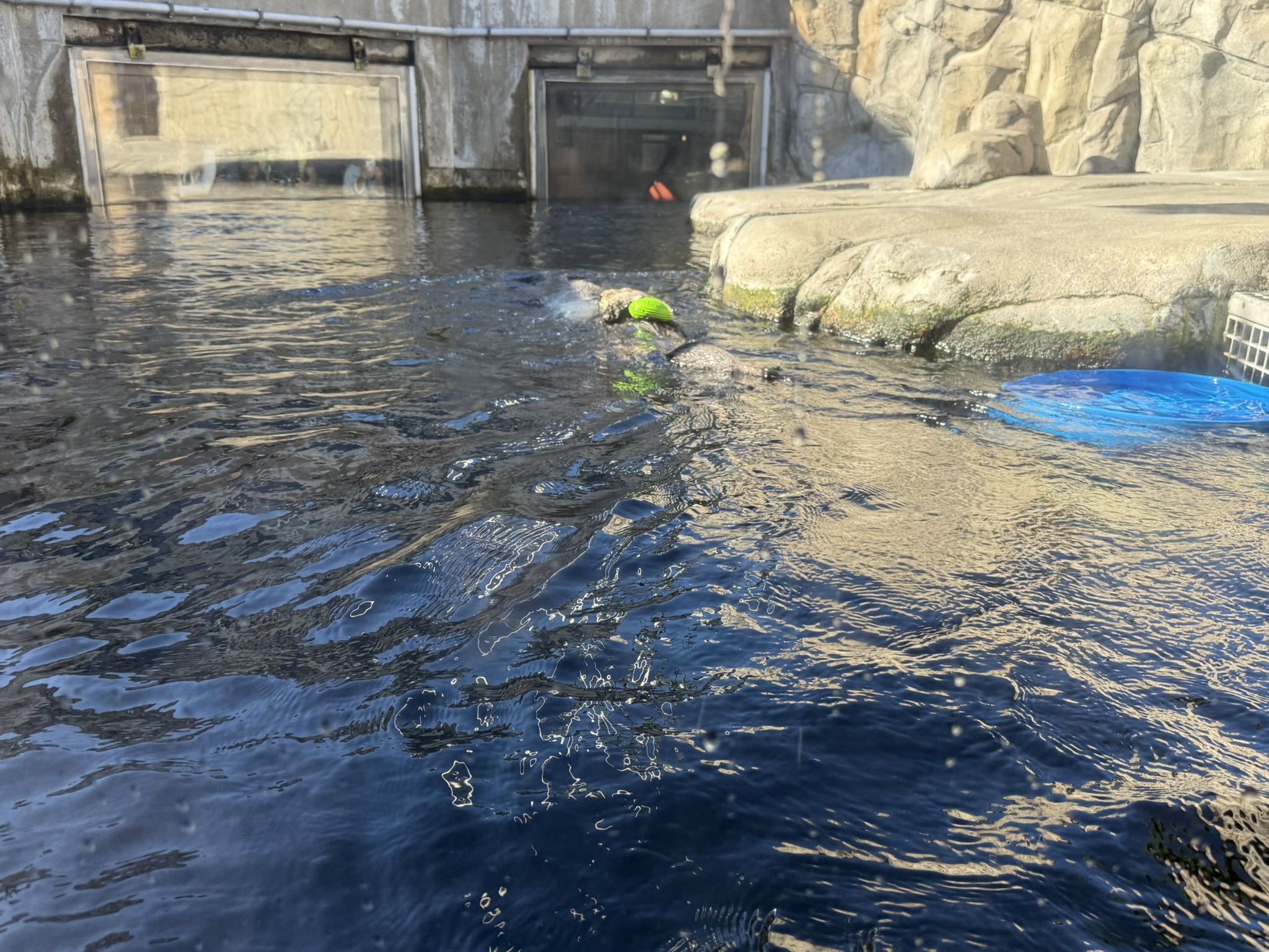 Monterey Bay Aquarium