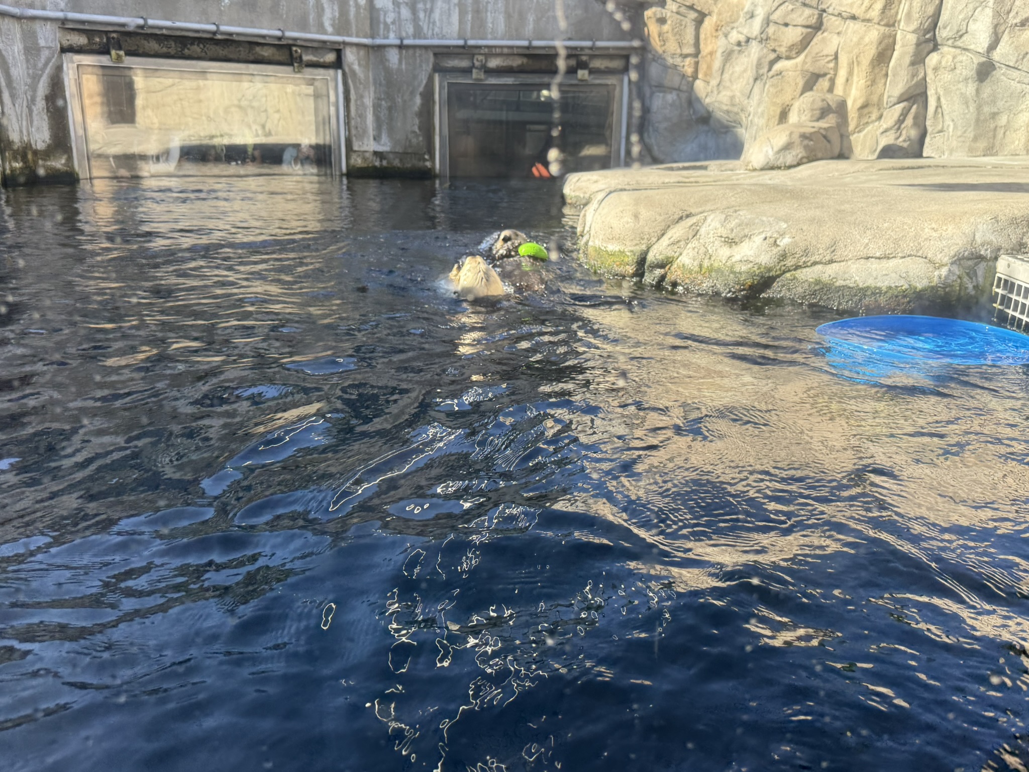 Monterey Bay Aquarium