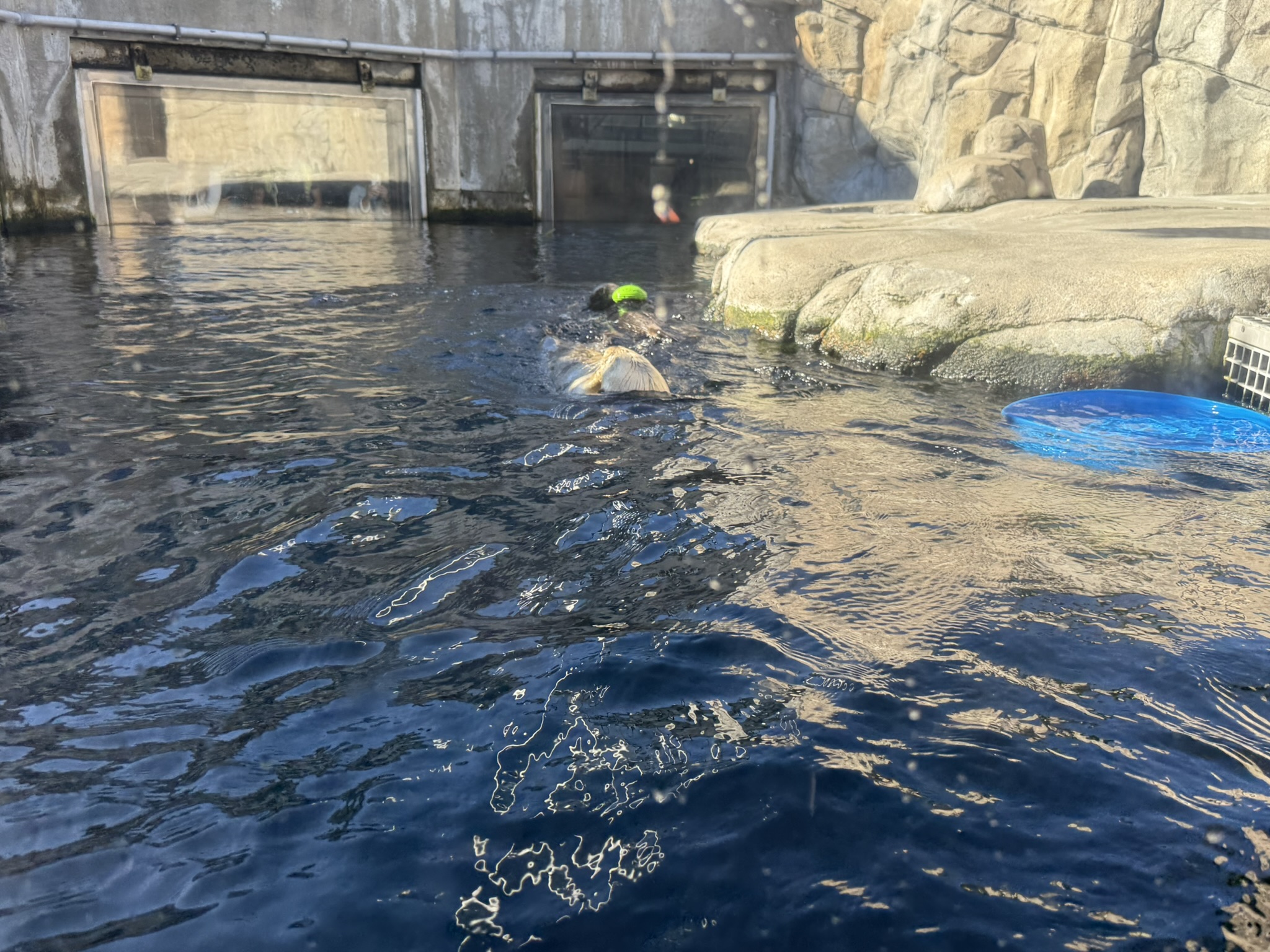 Monterey Bay Aquarium