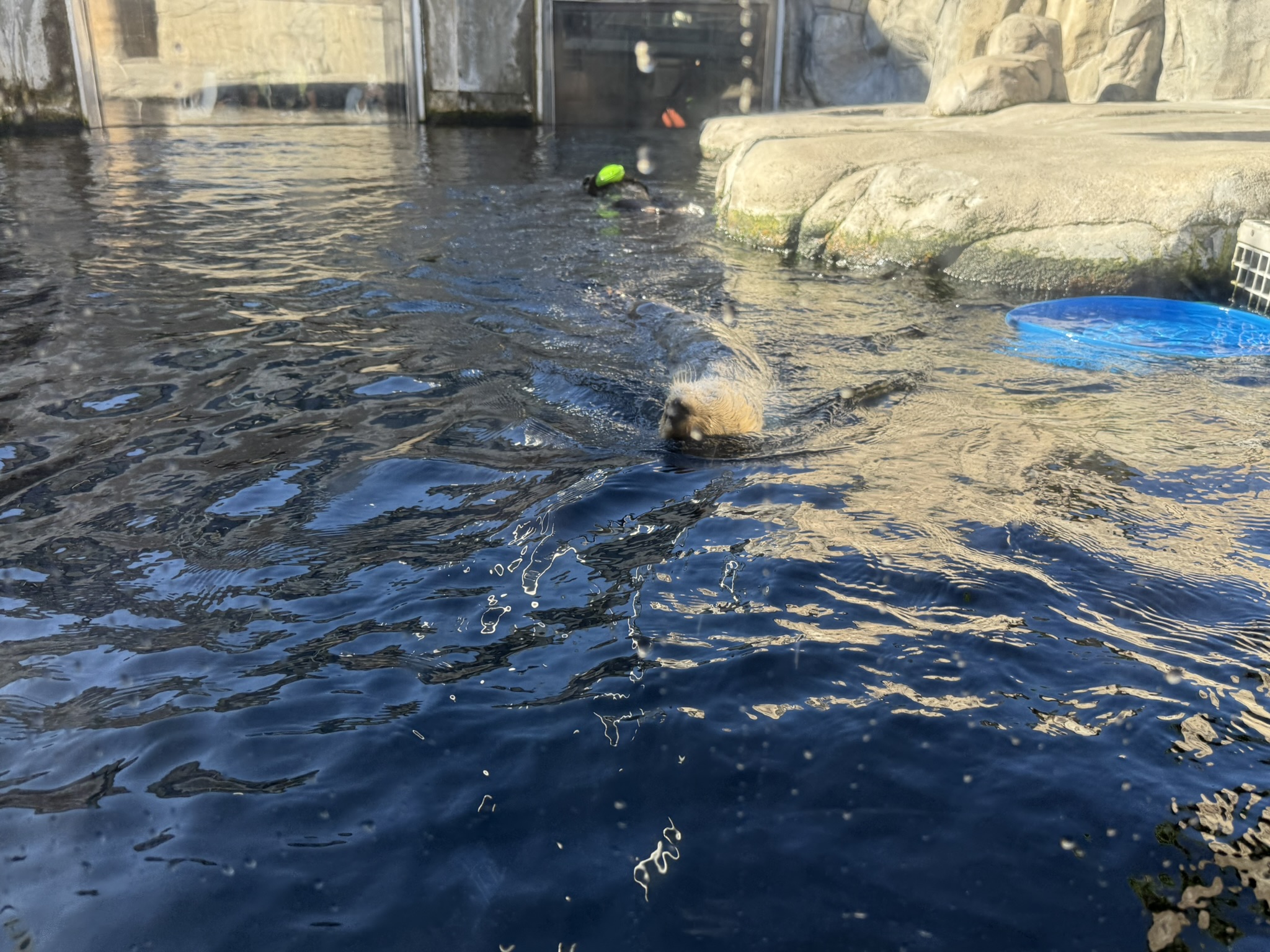 Monterey Bay Aquarium