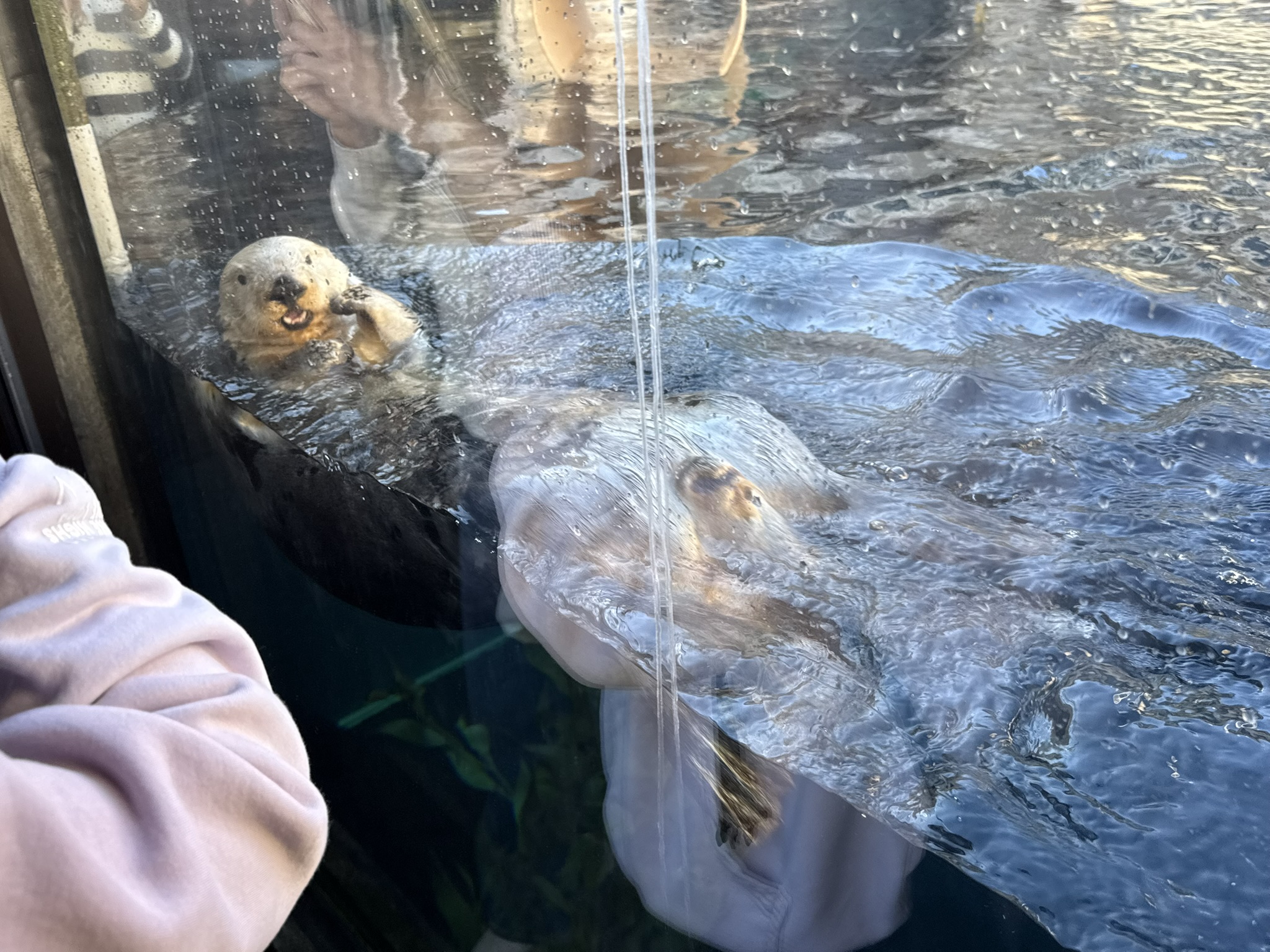 Monterey Bay Aquarium