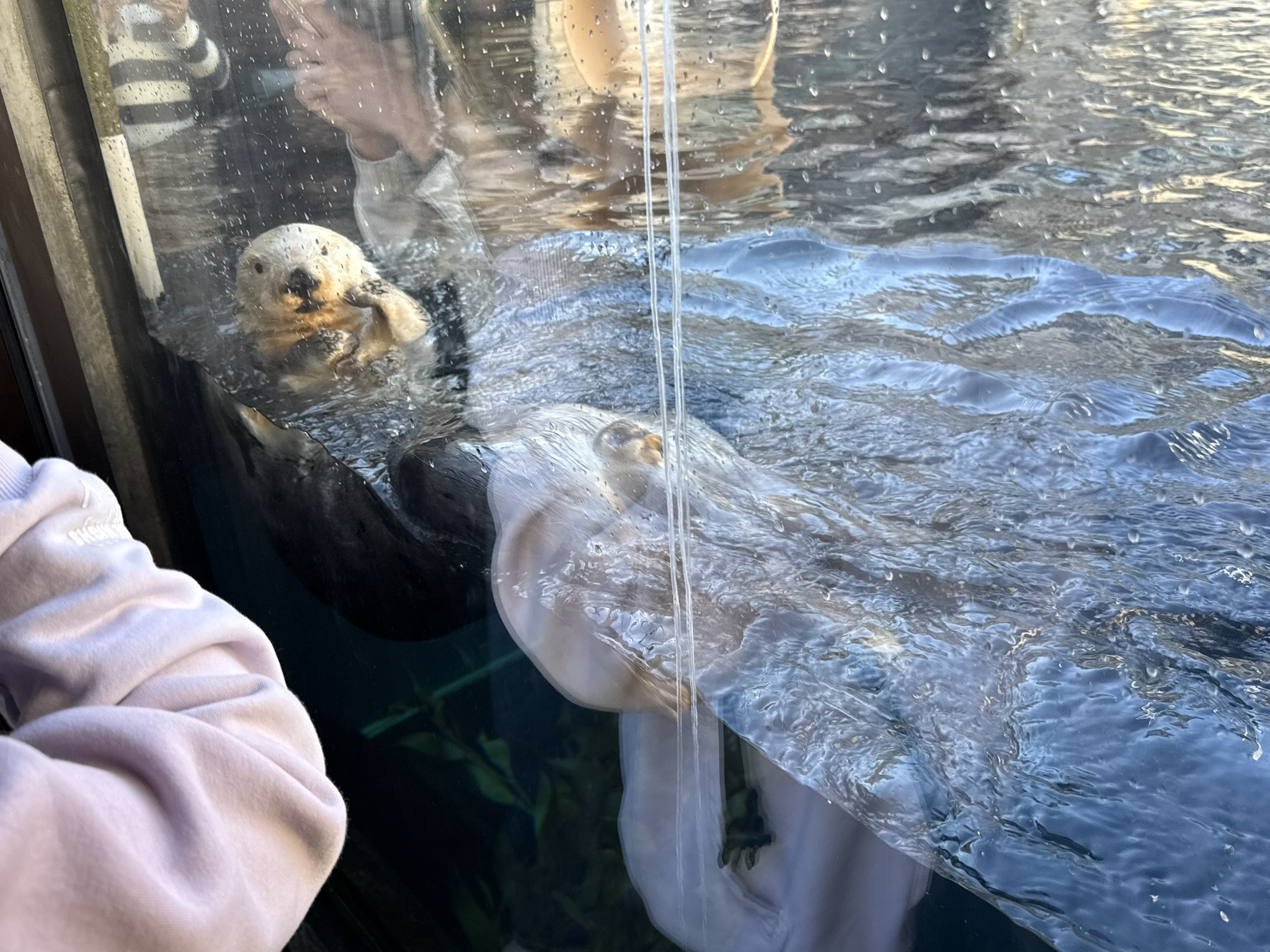 Monterey Bay Aquarium