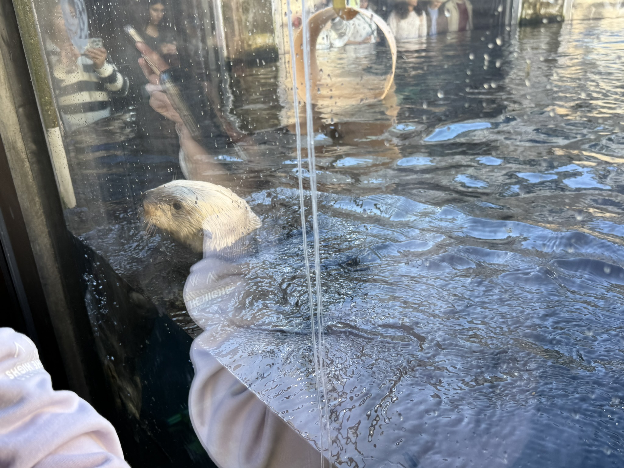 Monterey Bay Aquarium