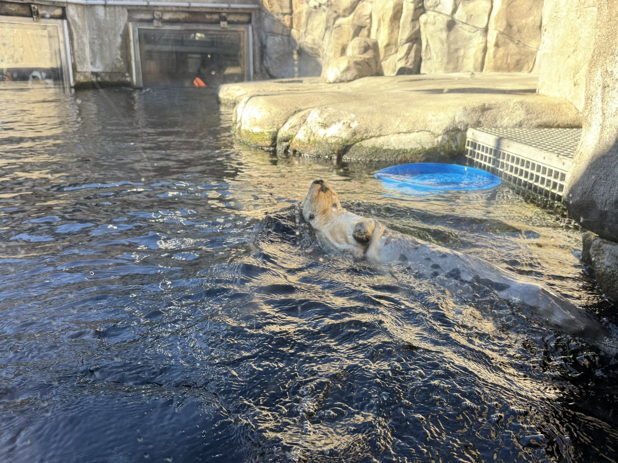 Monterey Bay Aquarium