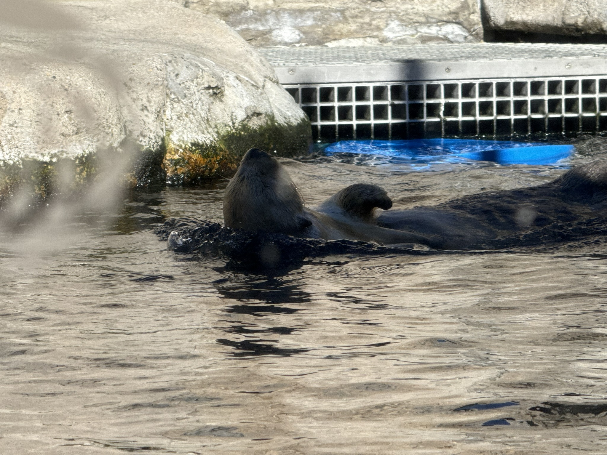 Monterey Bay Aquarium