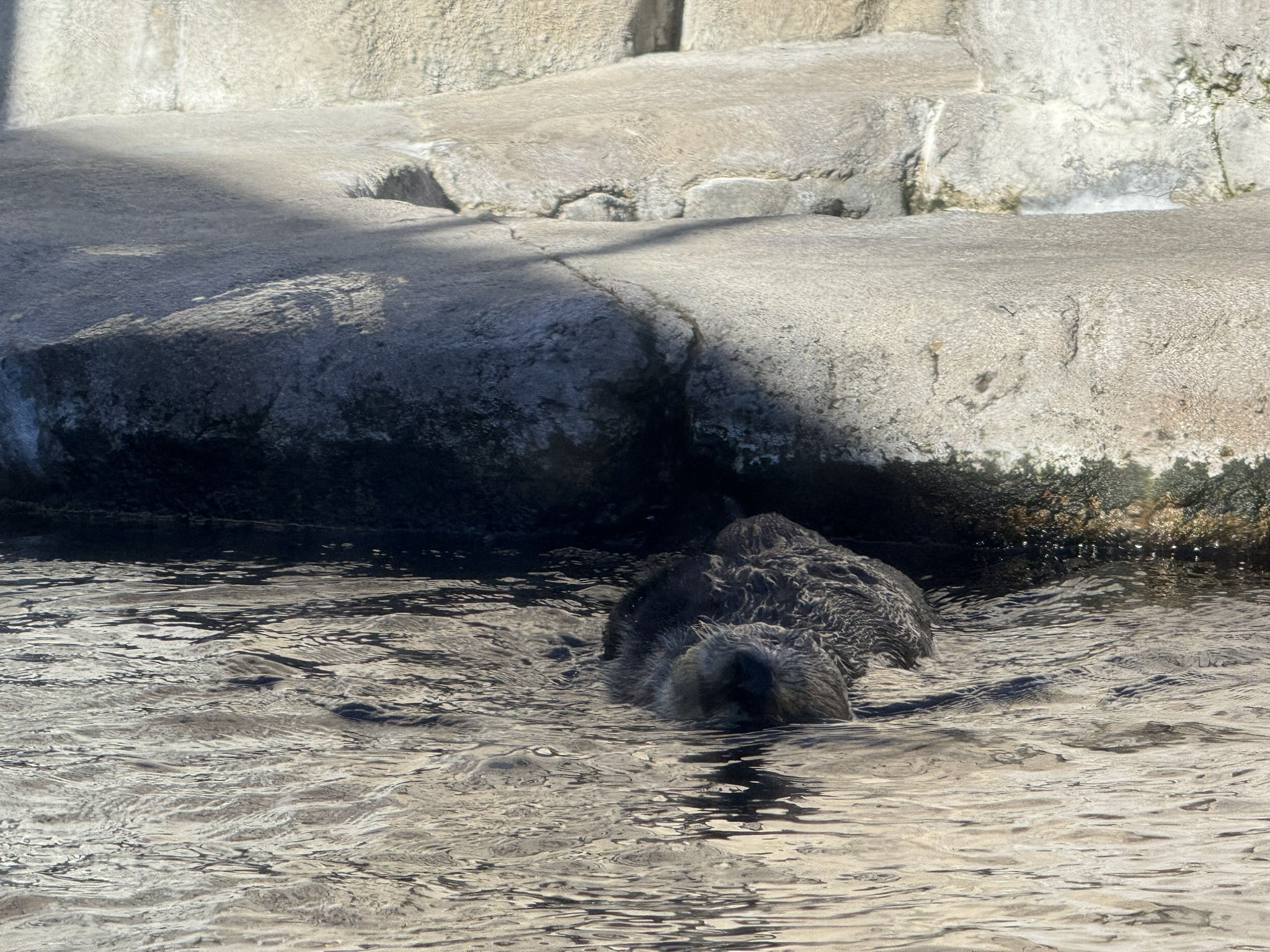 Monterey Bay Aquarium