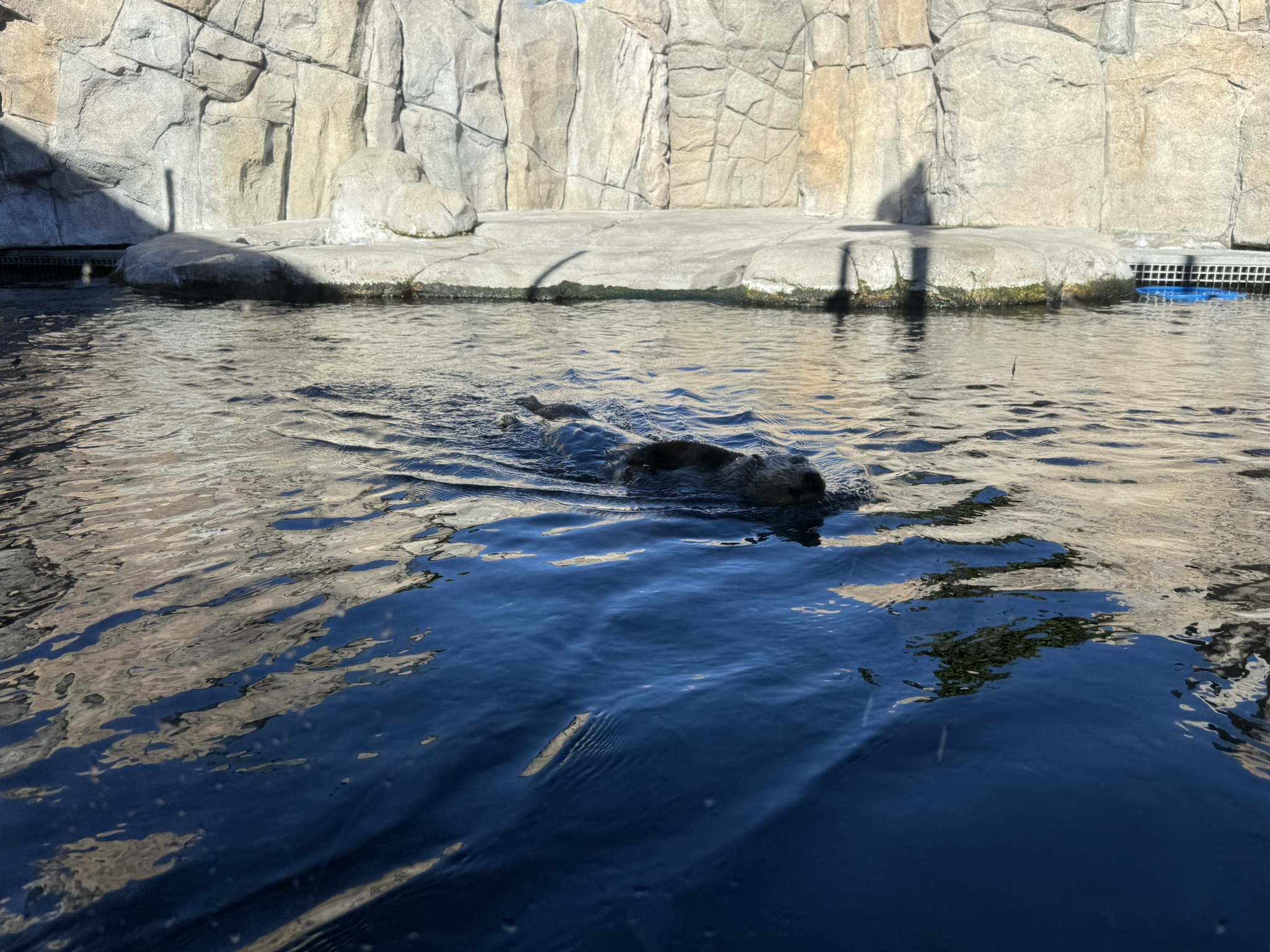 Monterey Bay Aquarium