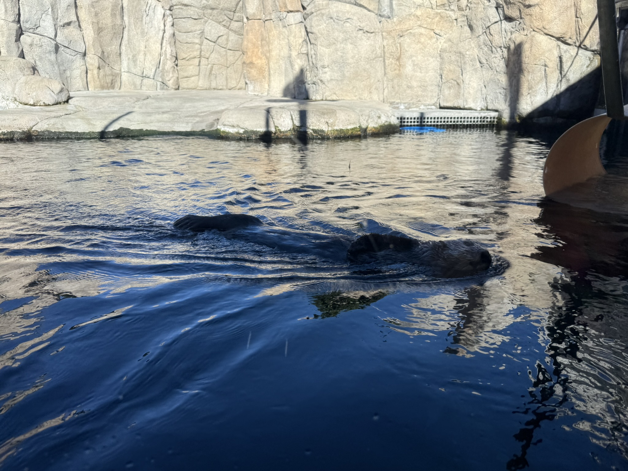 Monterey Bay Aquarium