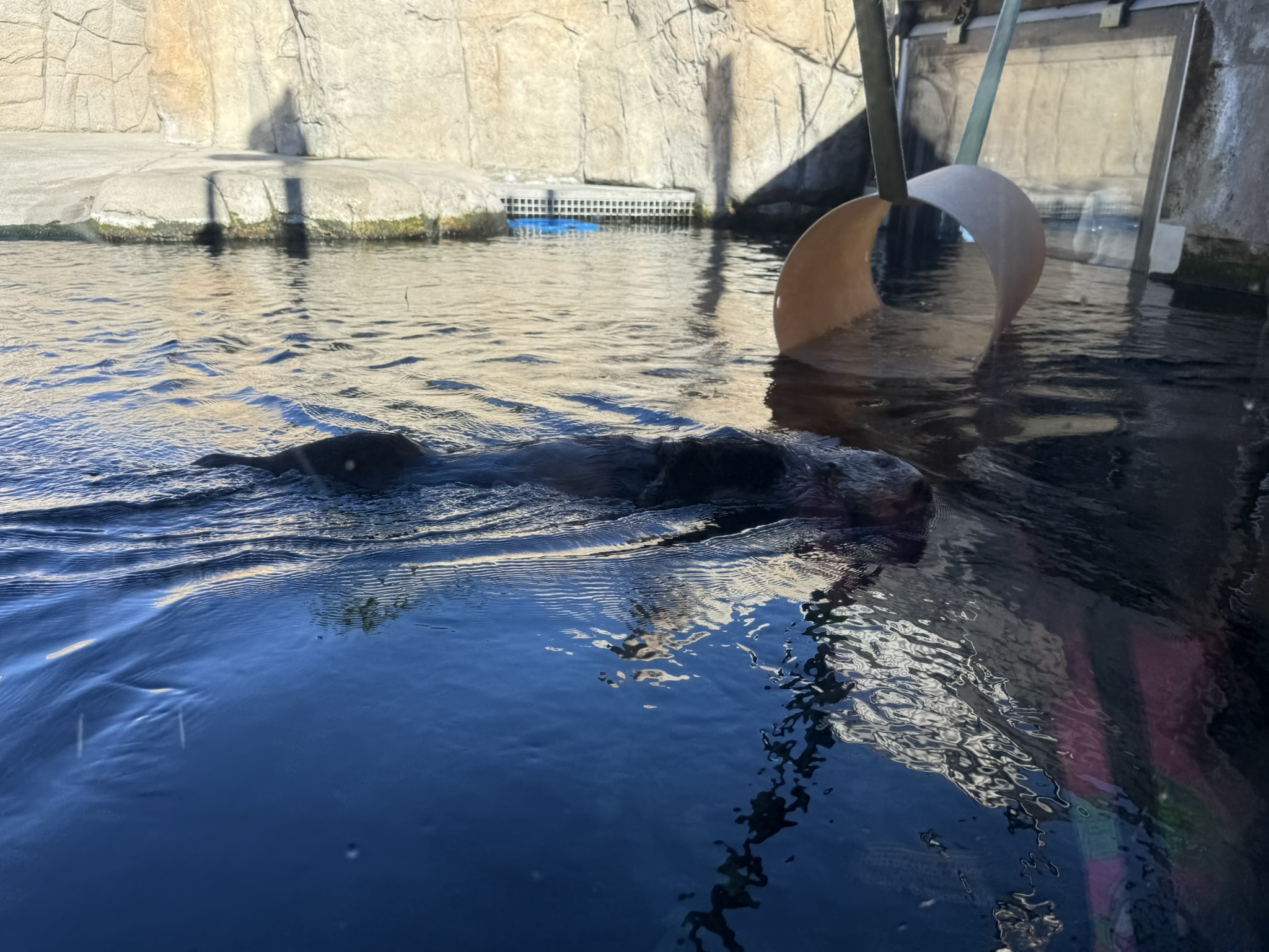 Monterey Bay Aquarium