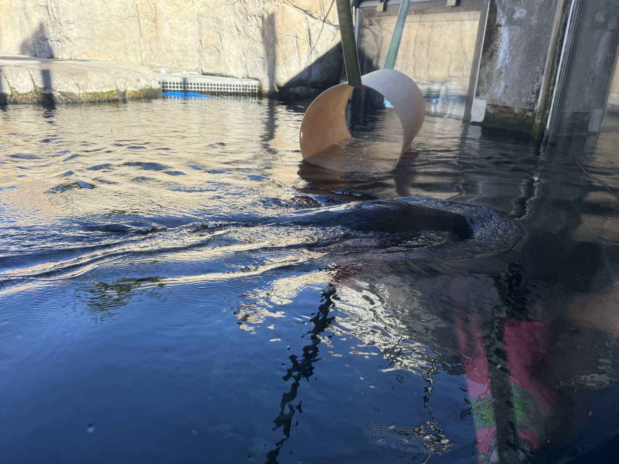 Monterey Bay Aquarium