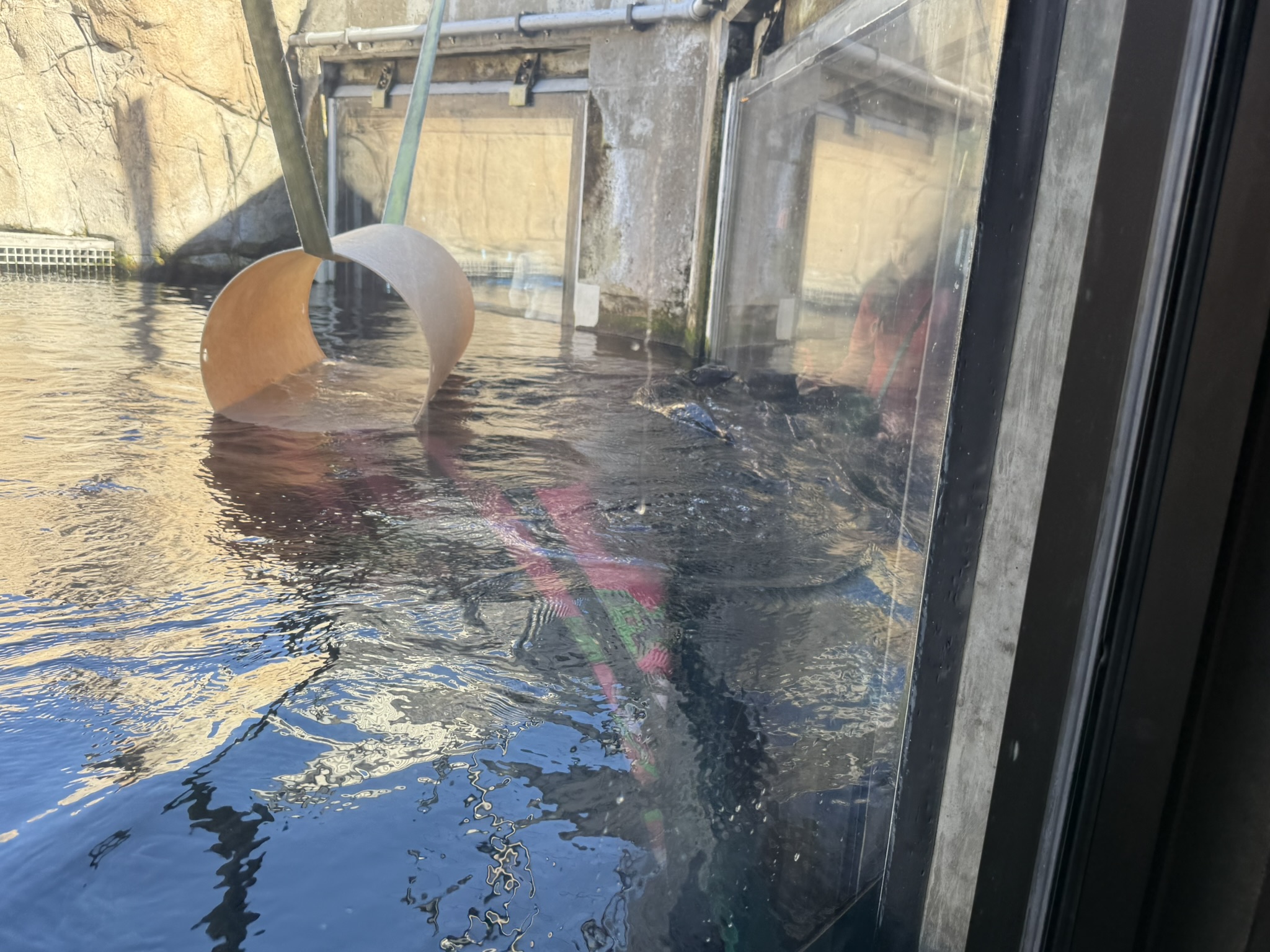 Monterey Bay Aquarium