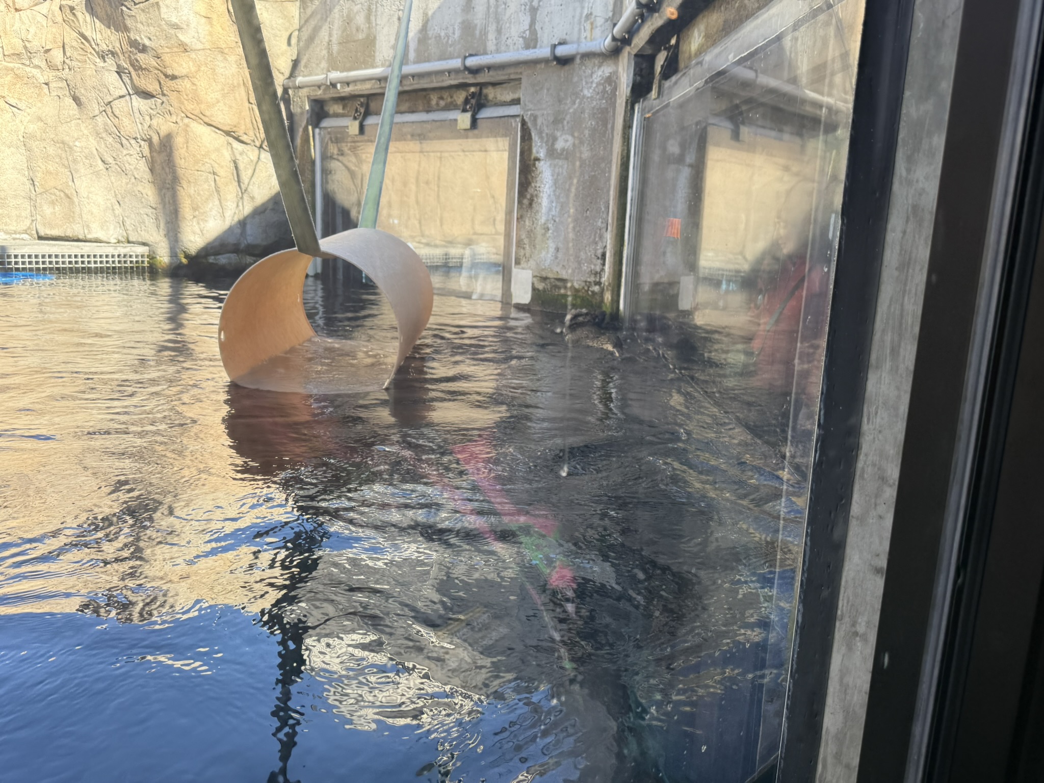 Monterey Bay Aquarium