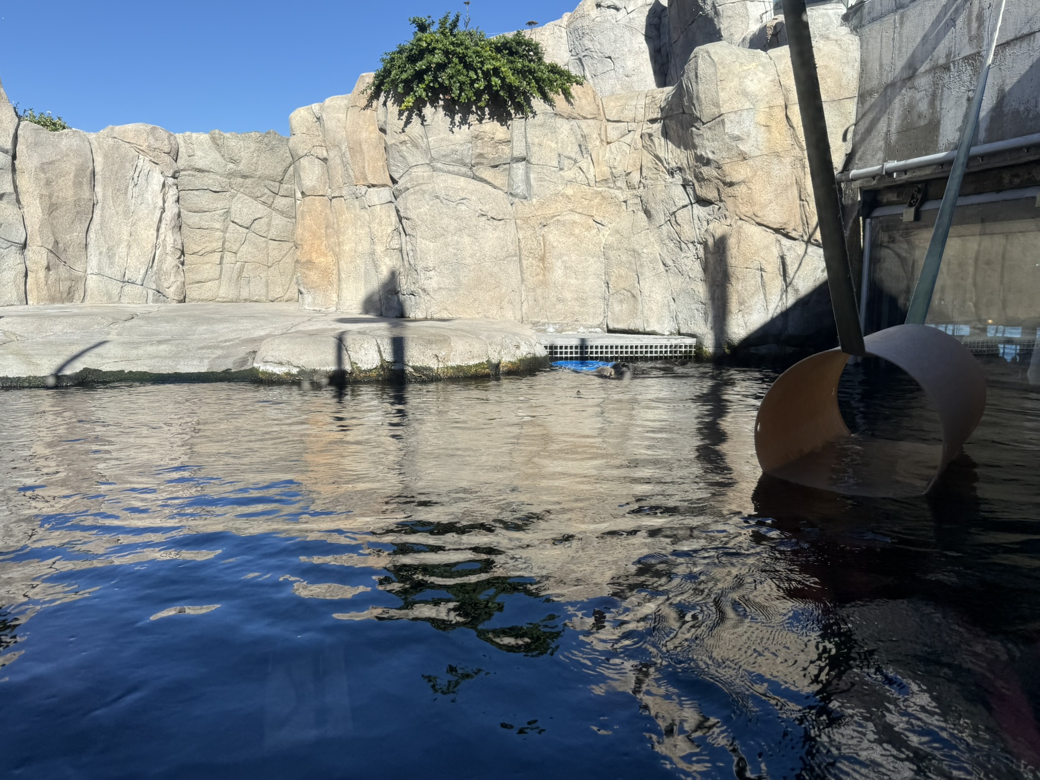 Monterey Bay Aquarium