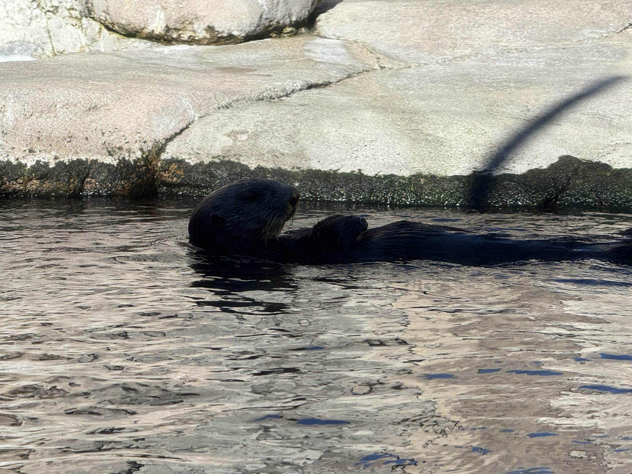 Monterey Bay Aquarium