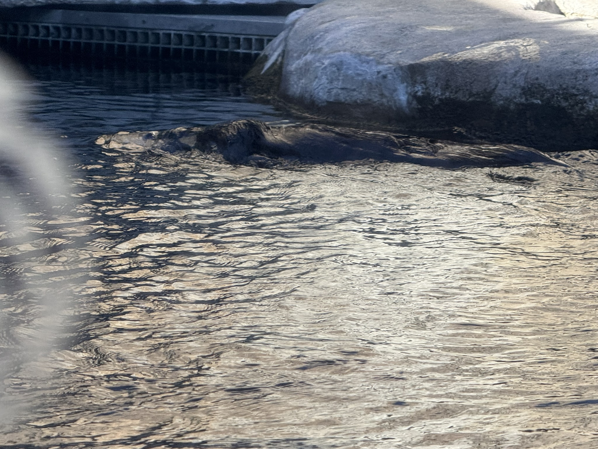 Monterey Bay Aquarium