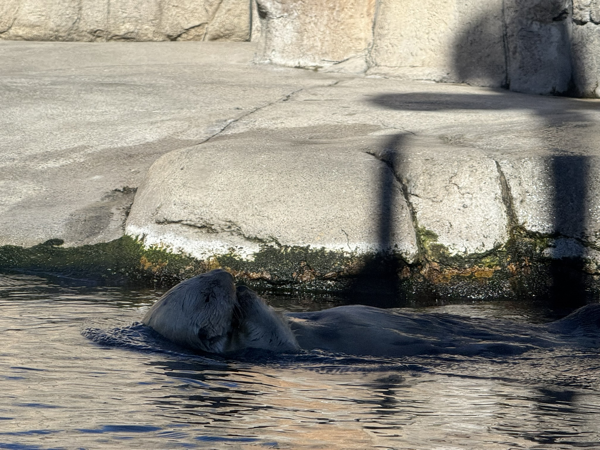 Monterey Bay Aquarium