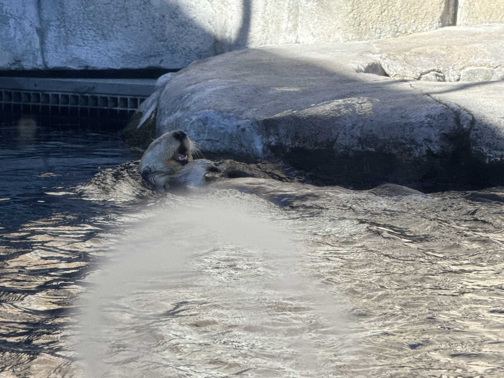 Monterey Bay Aquarium