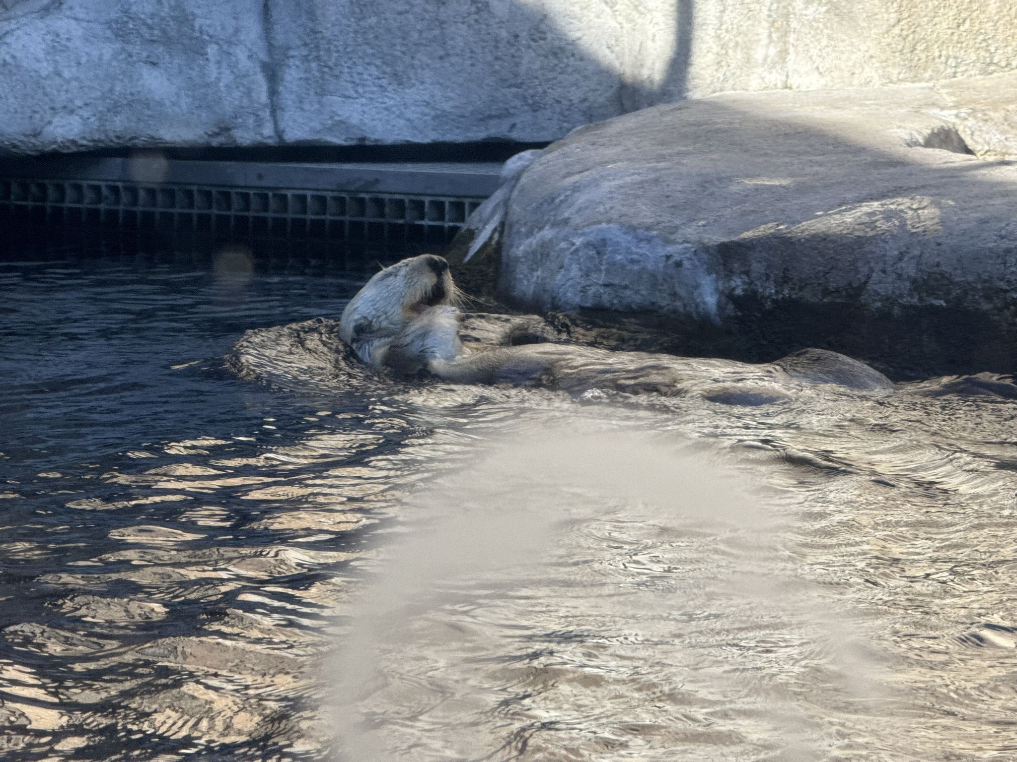 Monterey Bay Aquarium