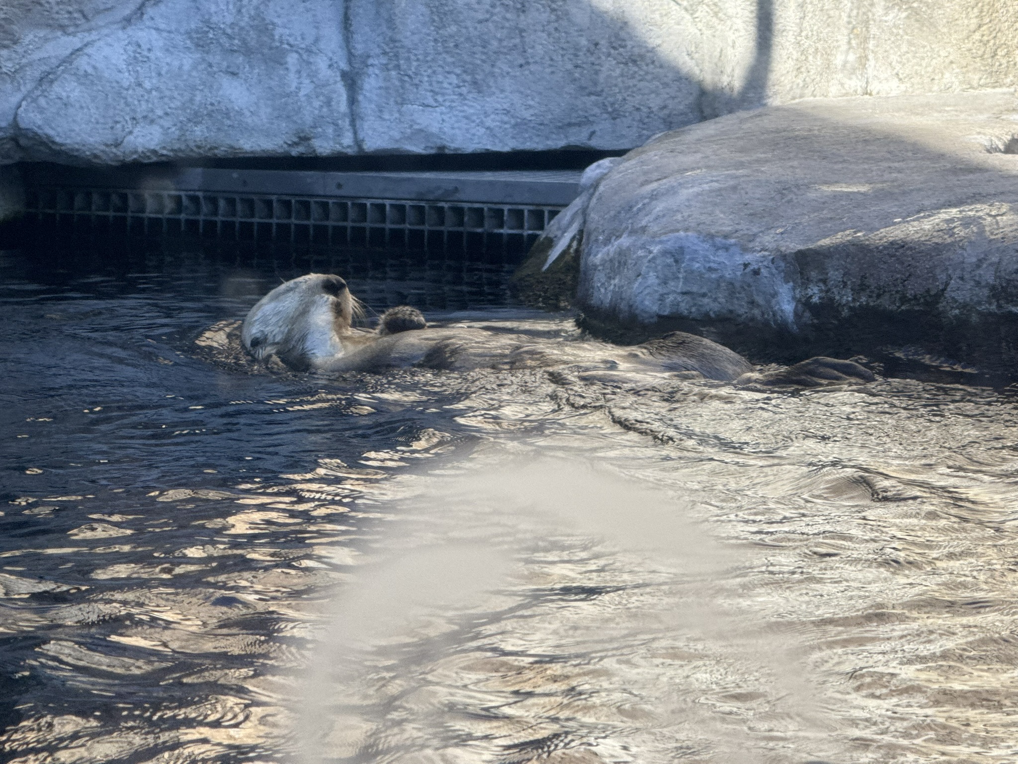 Monterey Bay Aquarium