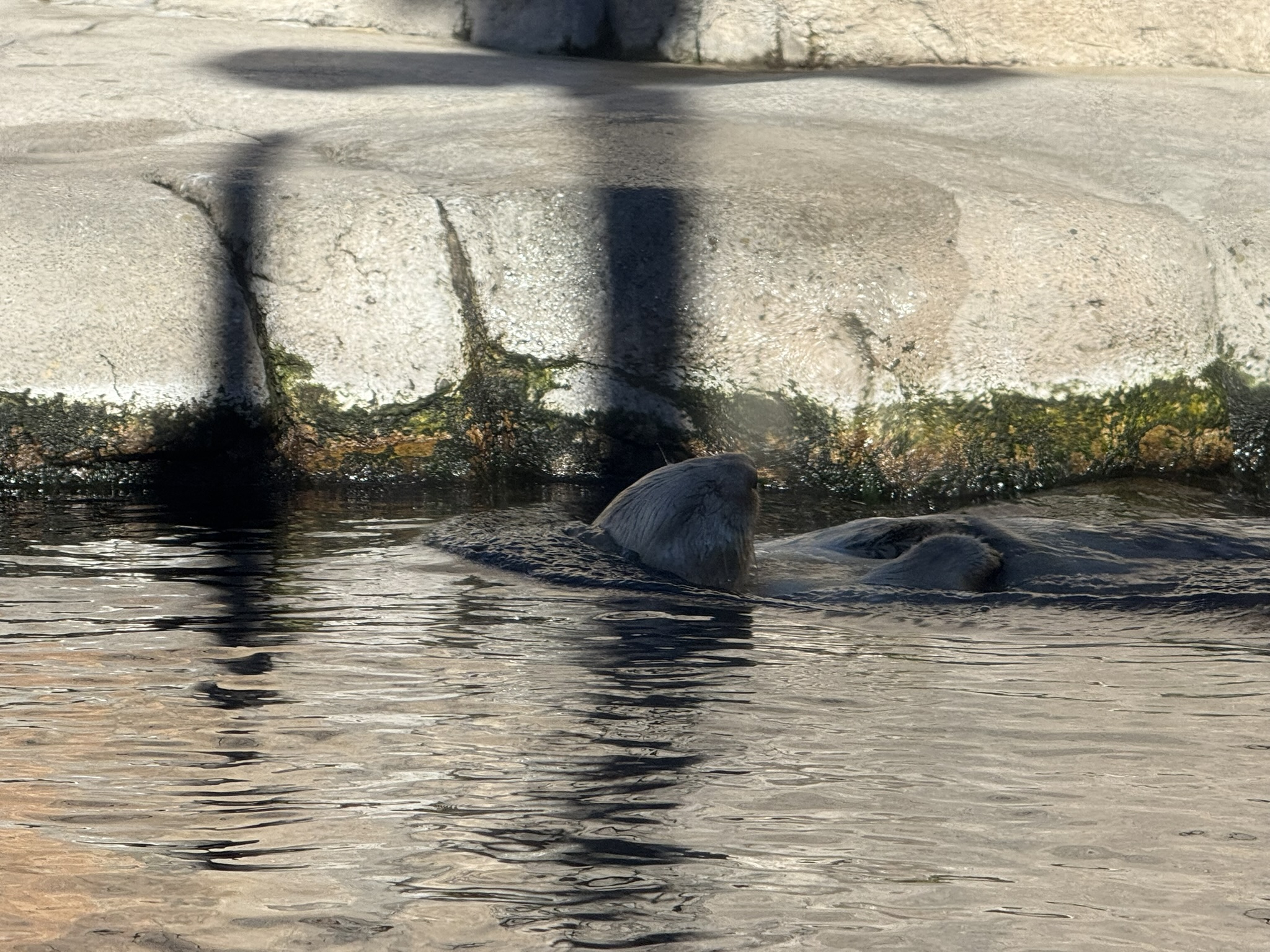 Monterey Bay Aquarium