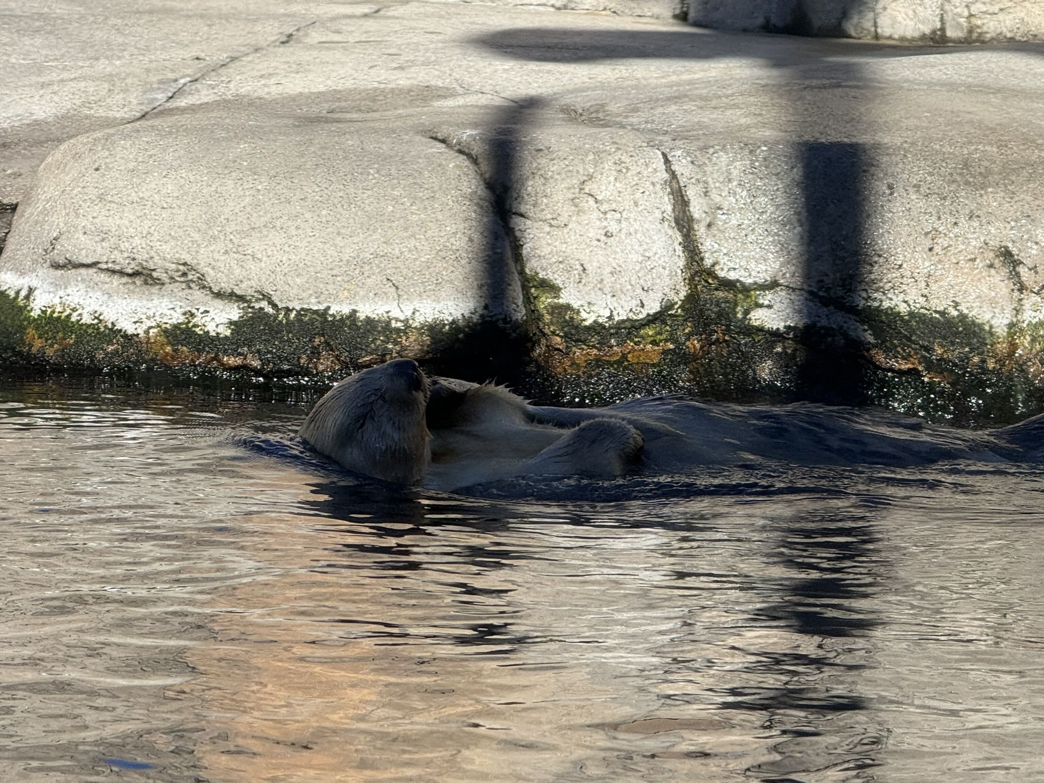 Monterey Bay Aquarium