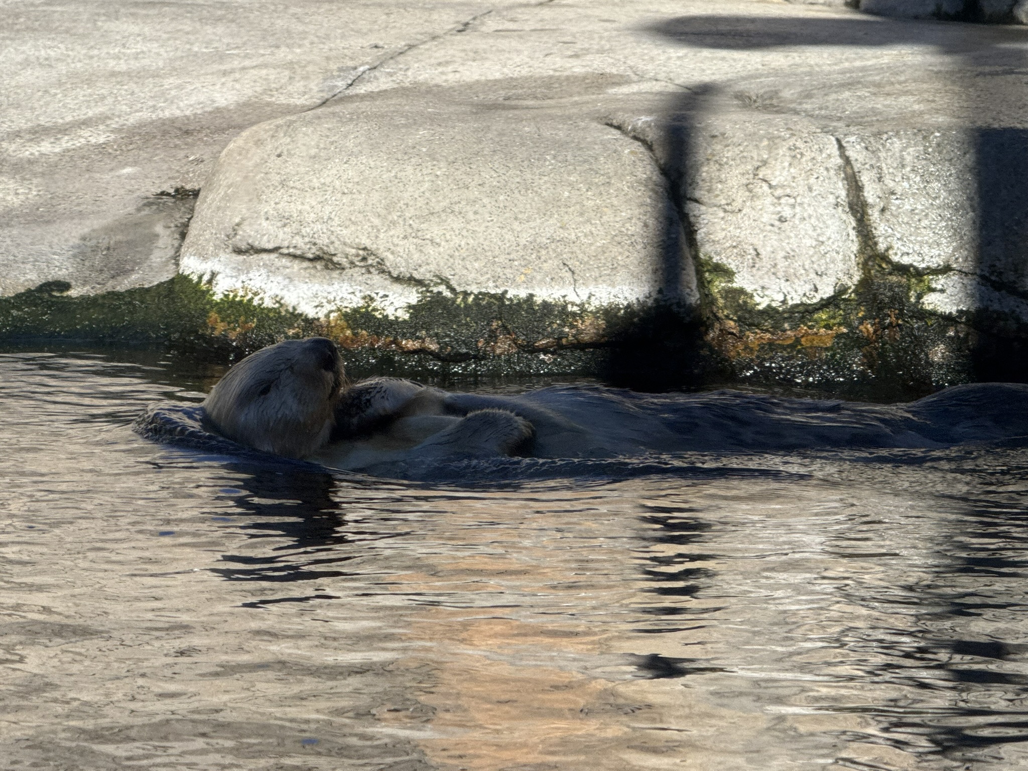 Monterey Bay Aquarium