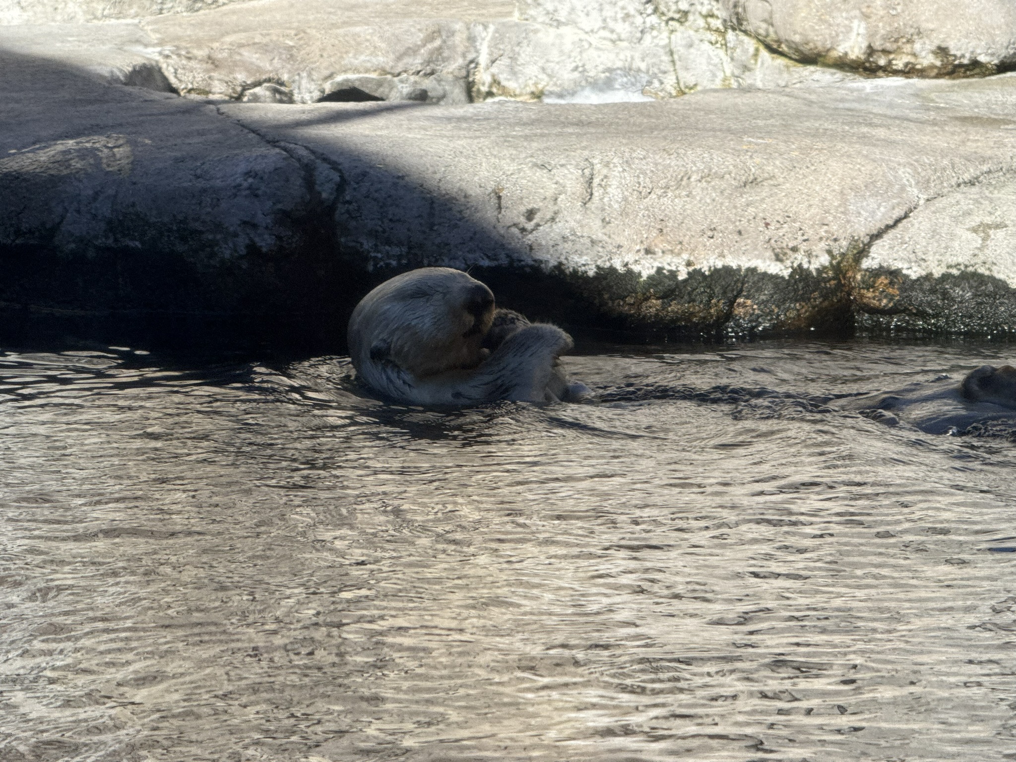 Monterey Bay Aquarium