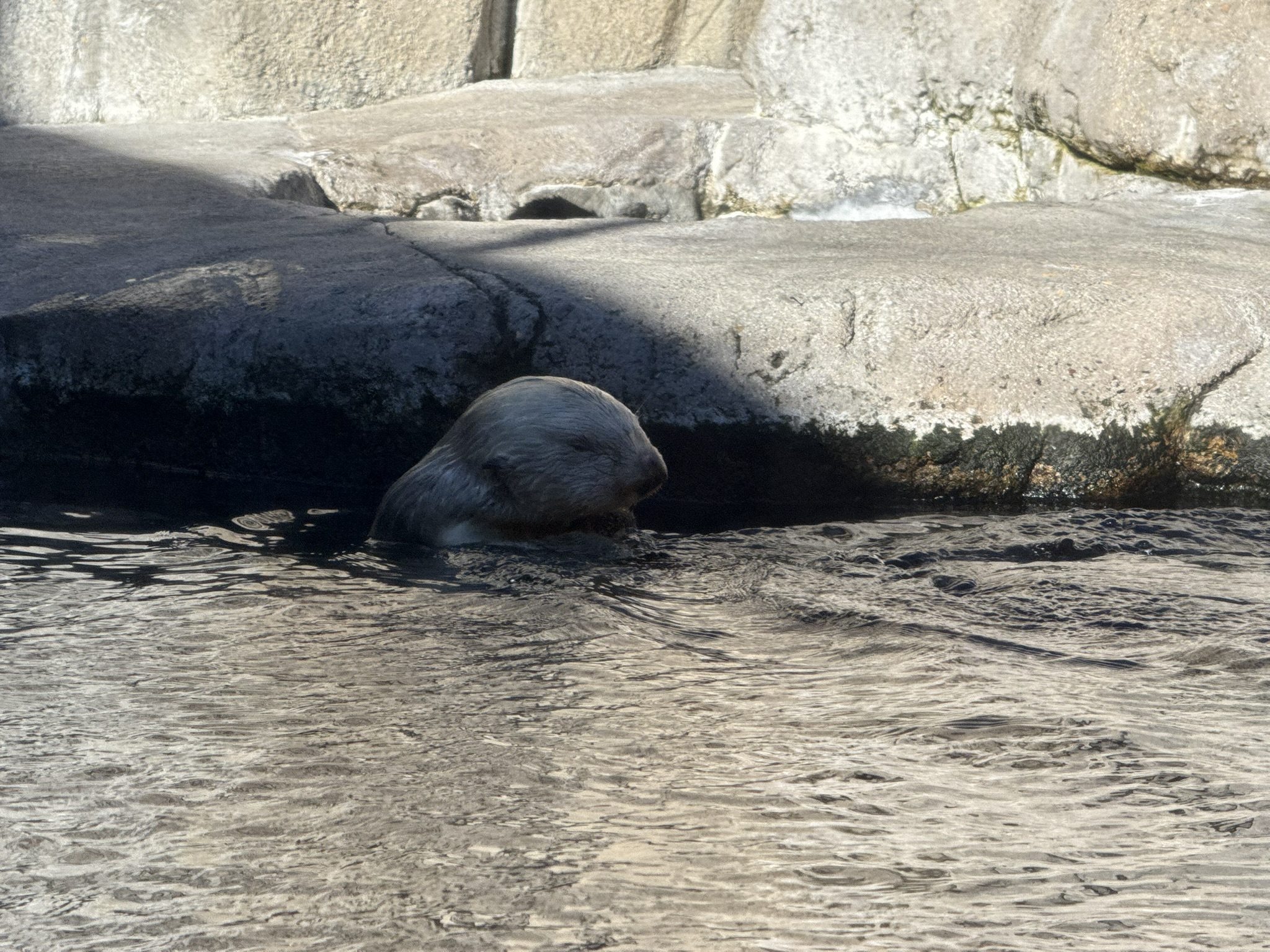 Monterey Bay Aquarium