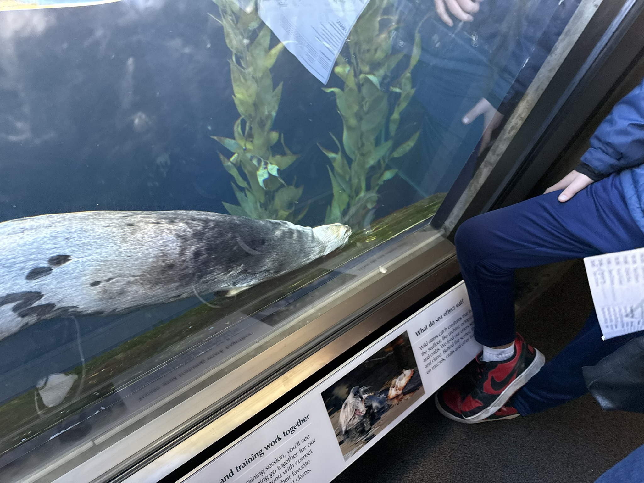 Monterey Bay Aquarium