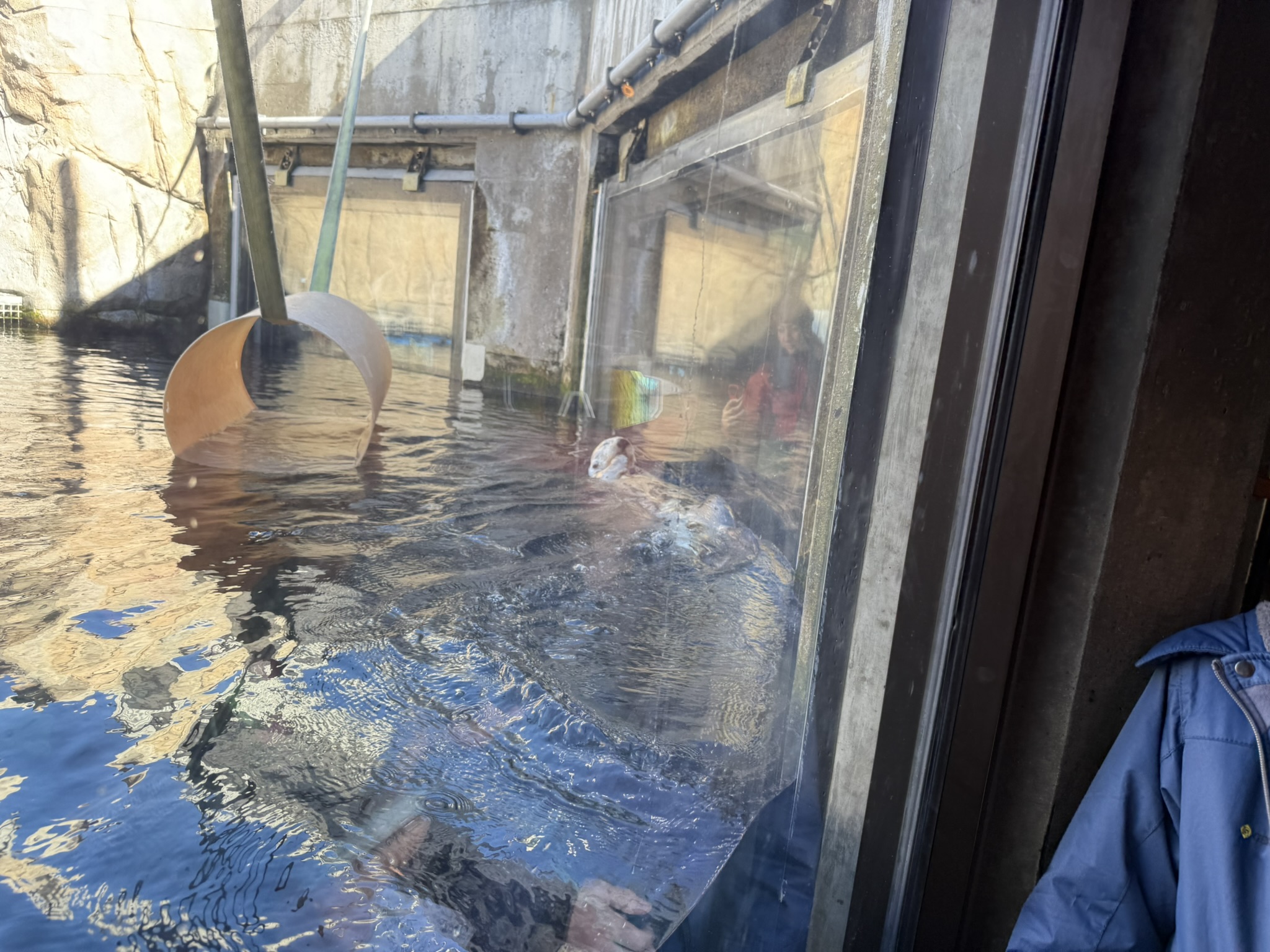 Monterey Bay Aquarium