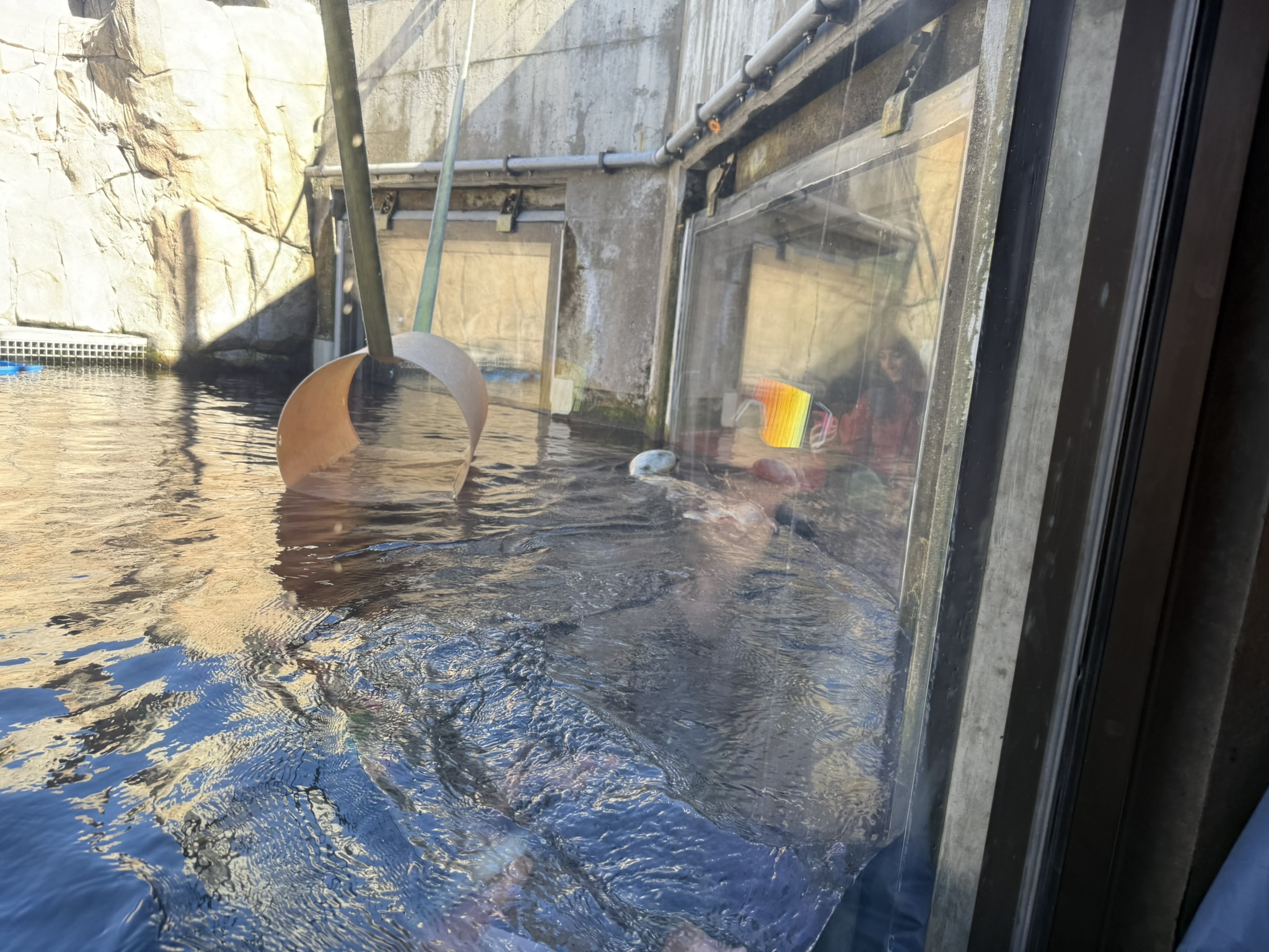 Monterey Bay Aquarium