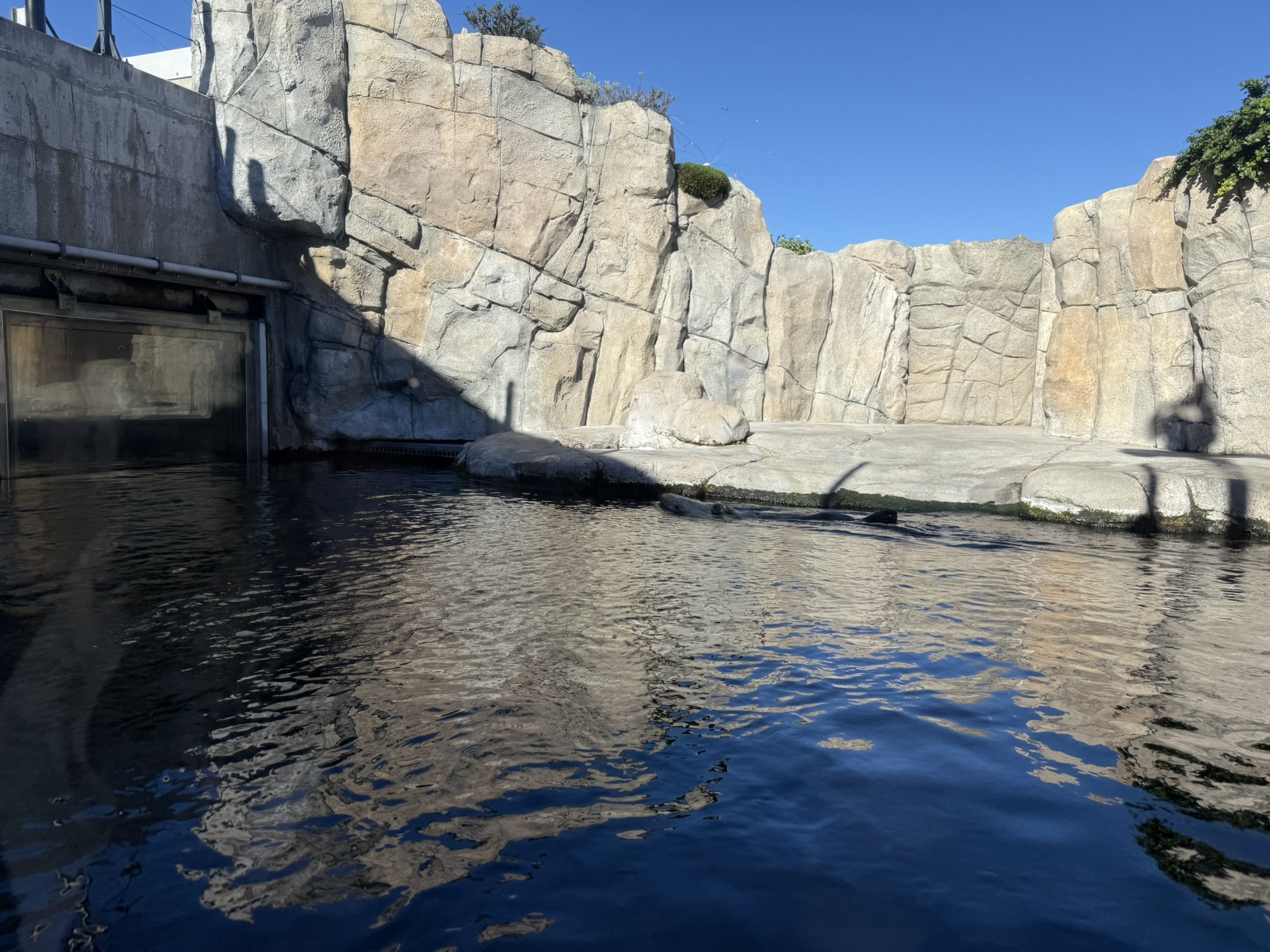 Monterey Bay Aquarium