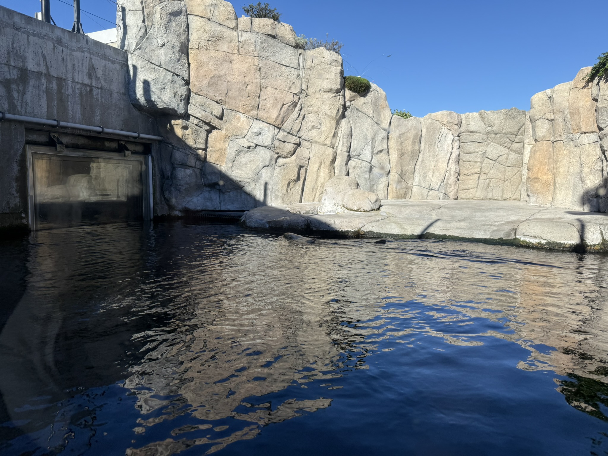 Monterey Bay Aquarium