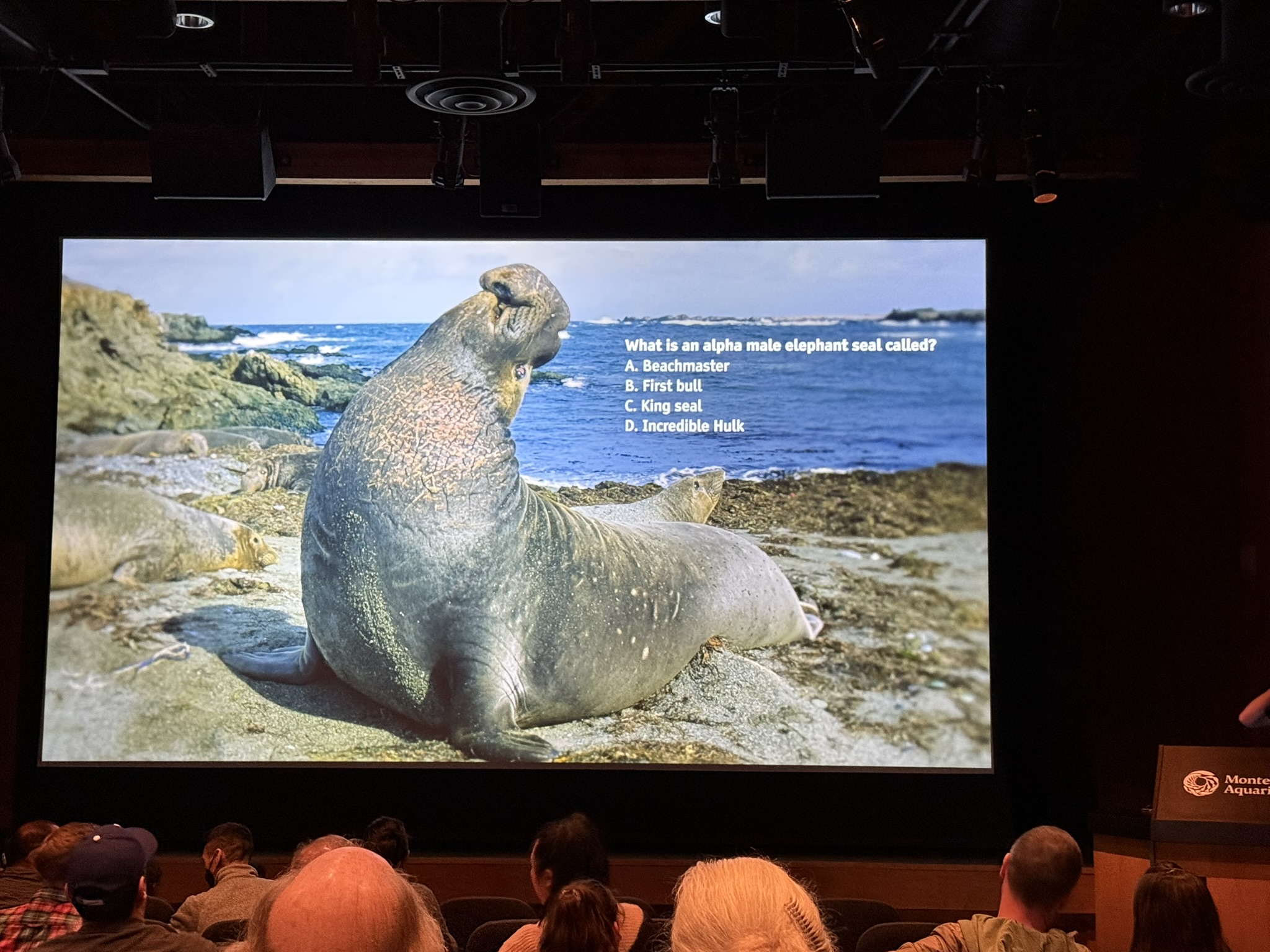 Monterey Bay Aquarium