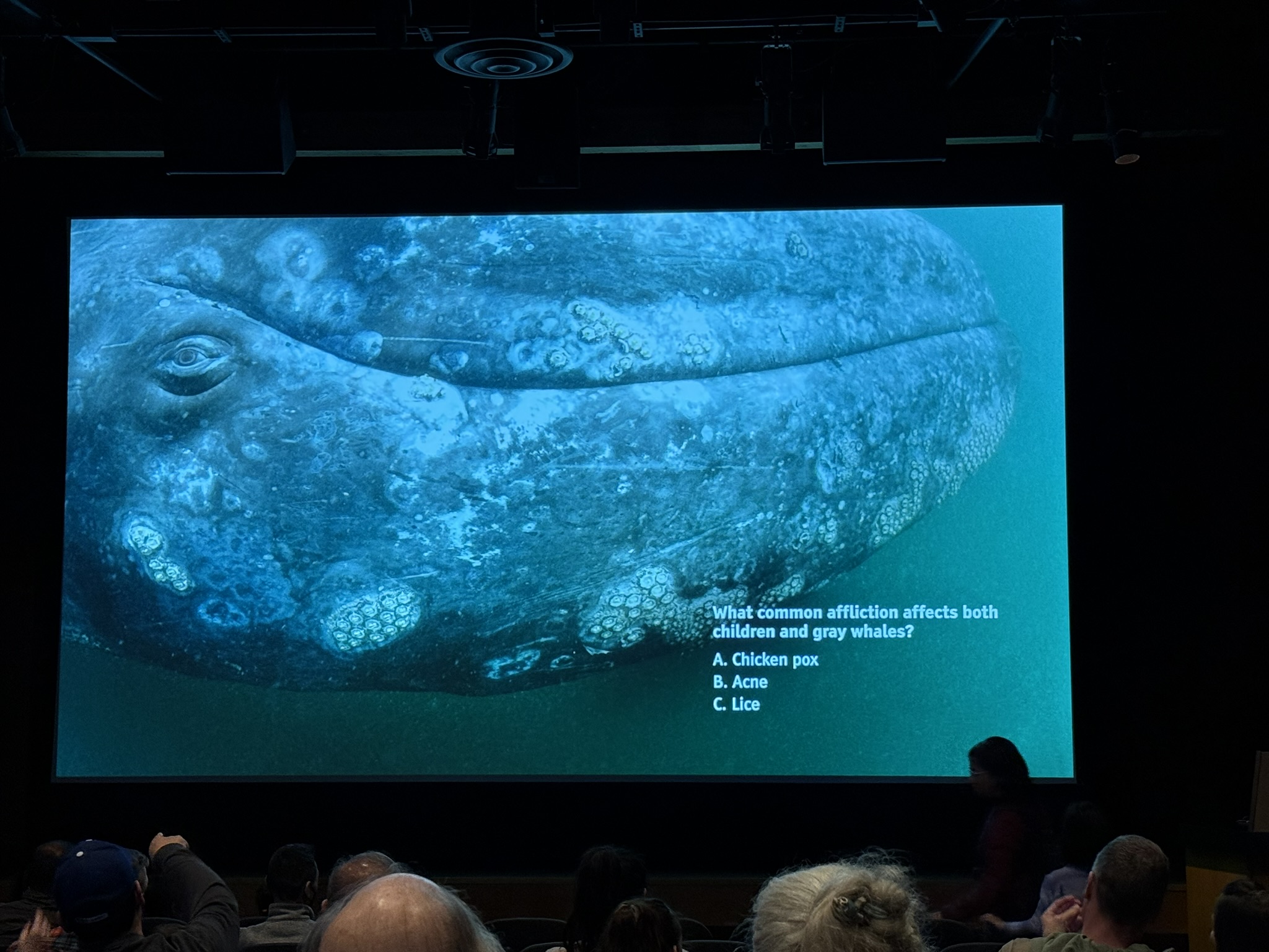 Monterey Bay Aquarium